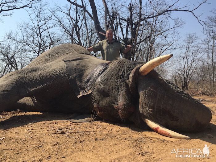 Zimbabwe Elephant Hunting