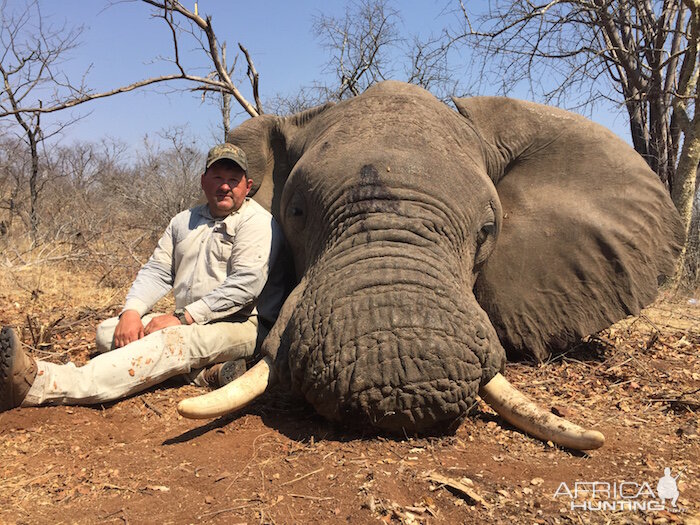 Zimbabwe Elephant Hunting