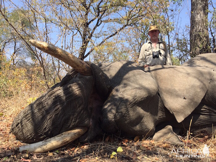 Zimbabwe Elephant Hunting