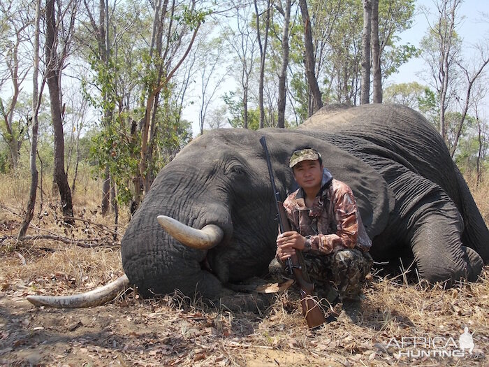 Zimbabwe Elephant Hunting