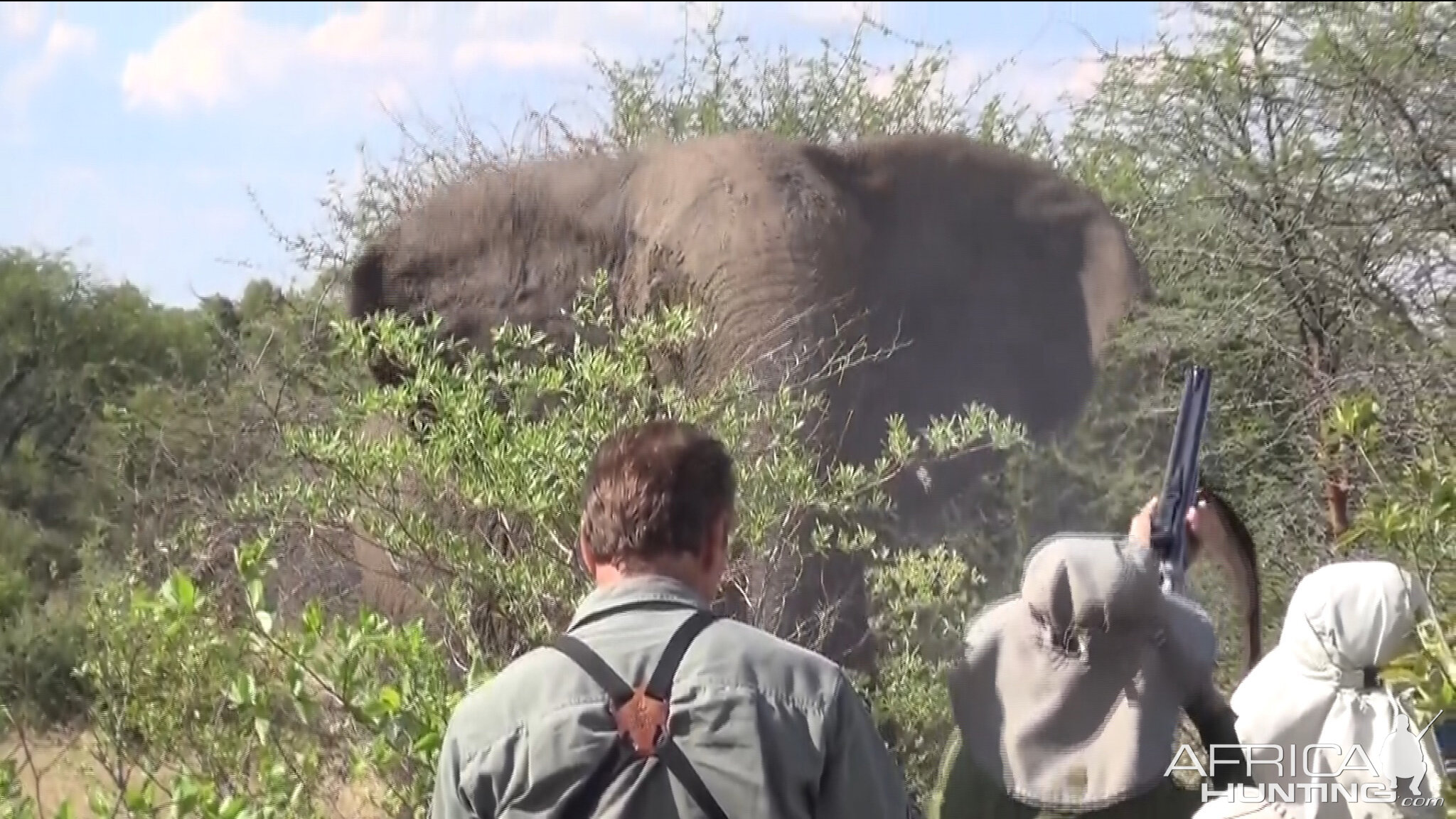 Zimbabwe Elephant, November 2014