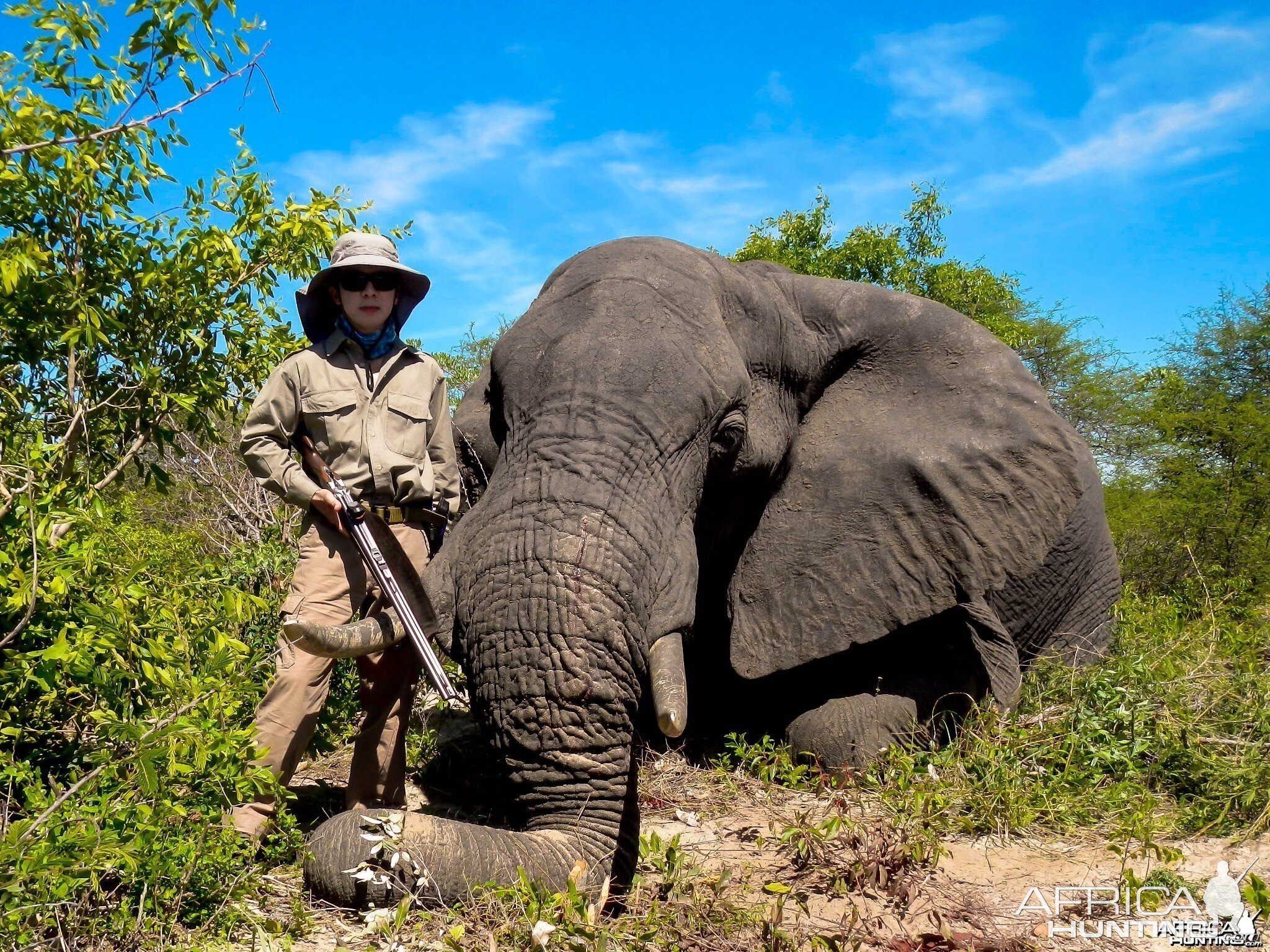 Zimbabwe Elephant, November 2014