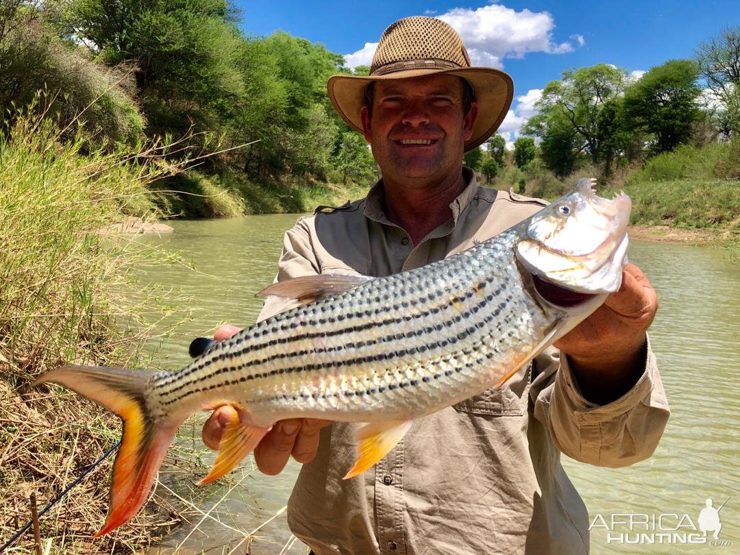 Zimbabwe Fishing Tigerfish