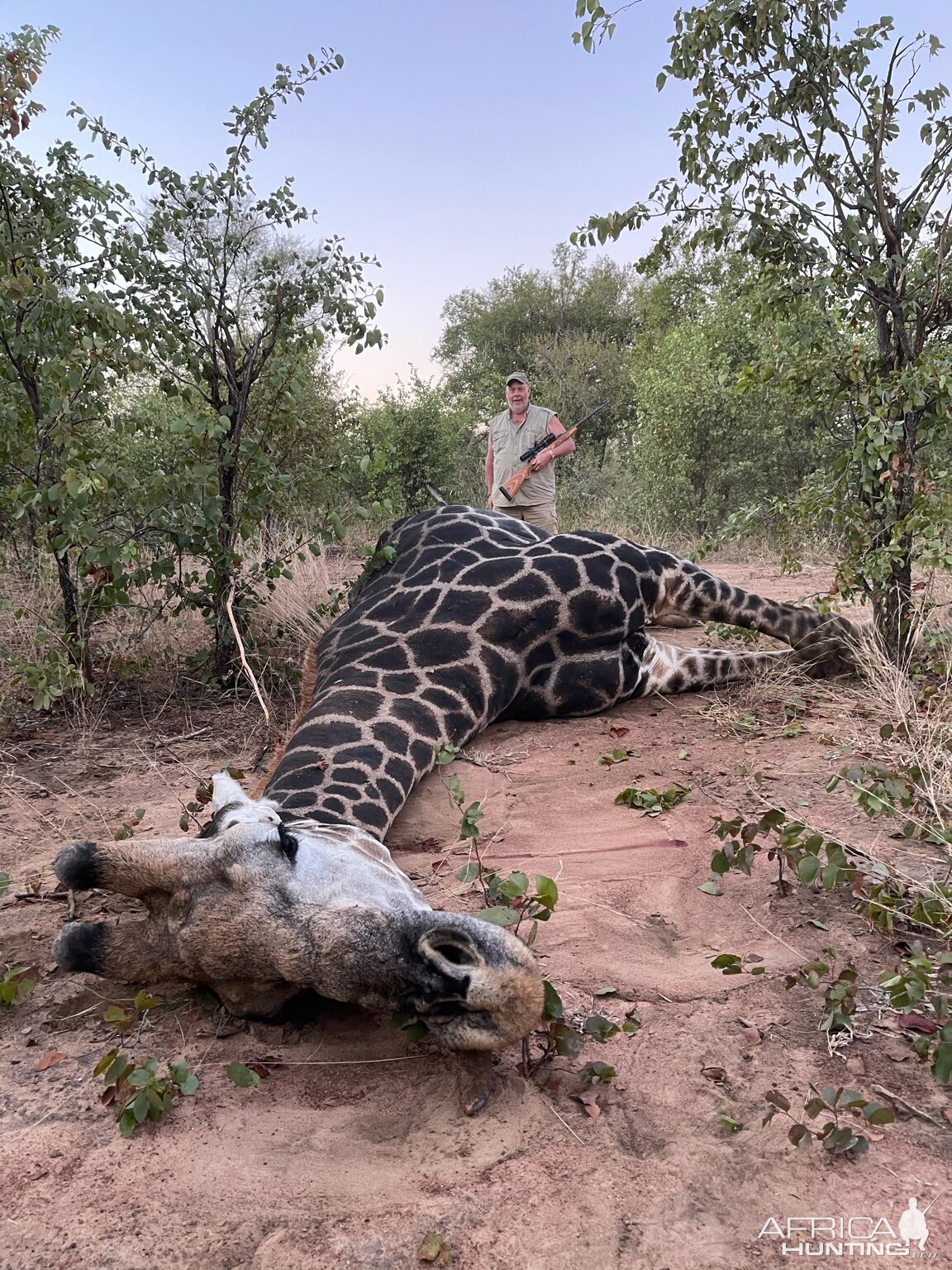 Zimbabwe Giraffe Hunt