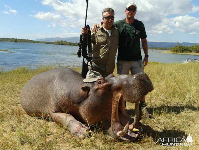 Zimbabwe Hippo Hunt