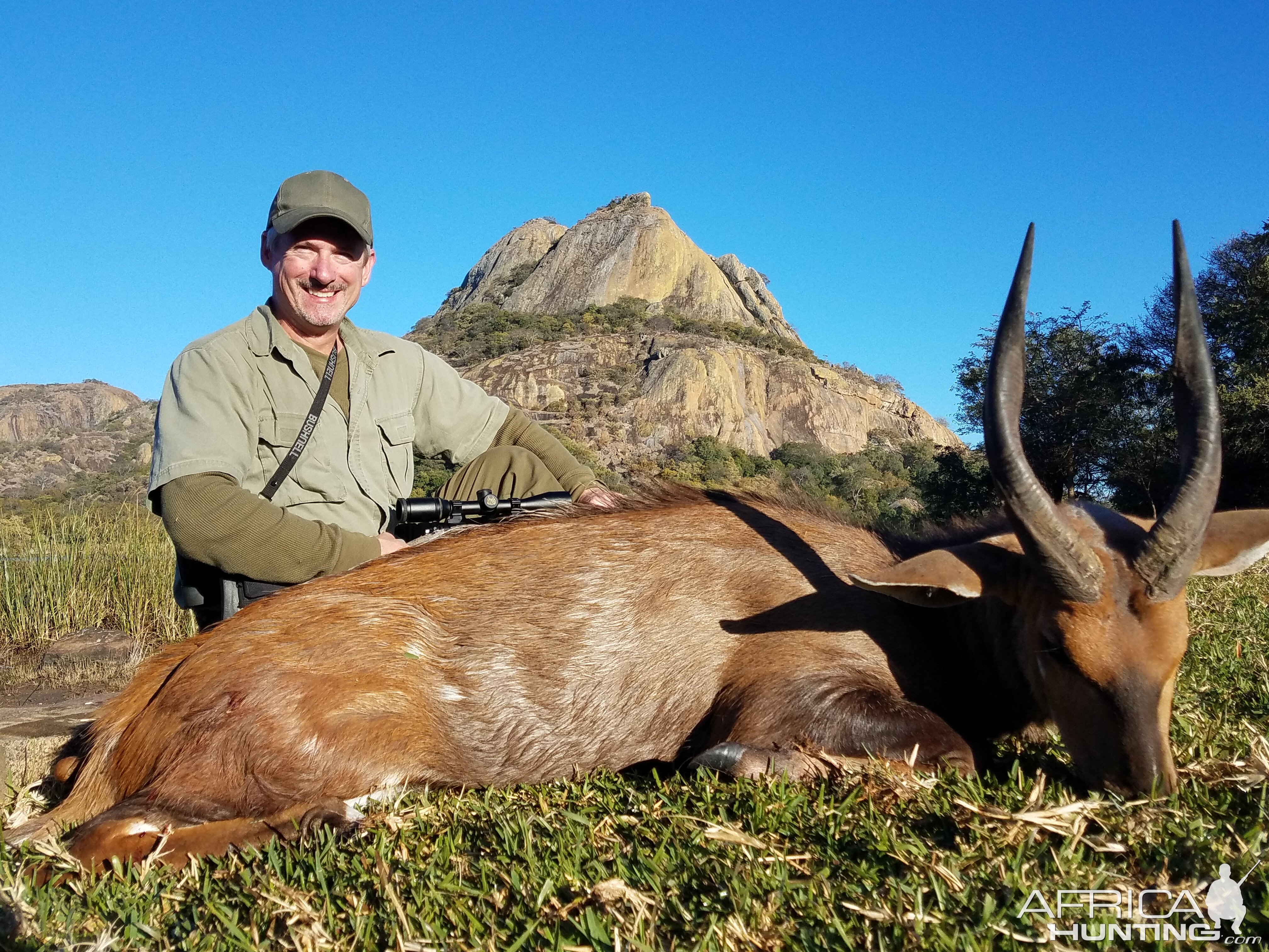 Zimbabwe Hunt 13.5” Inch Bushbuck