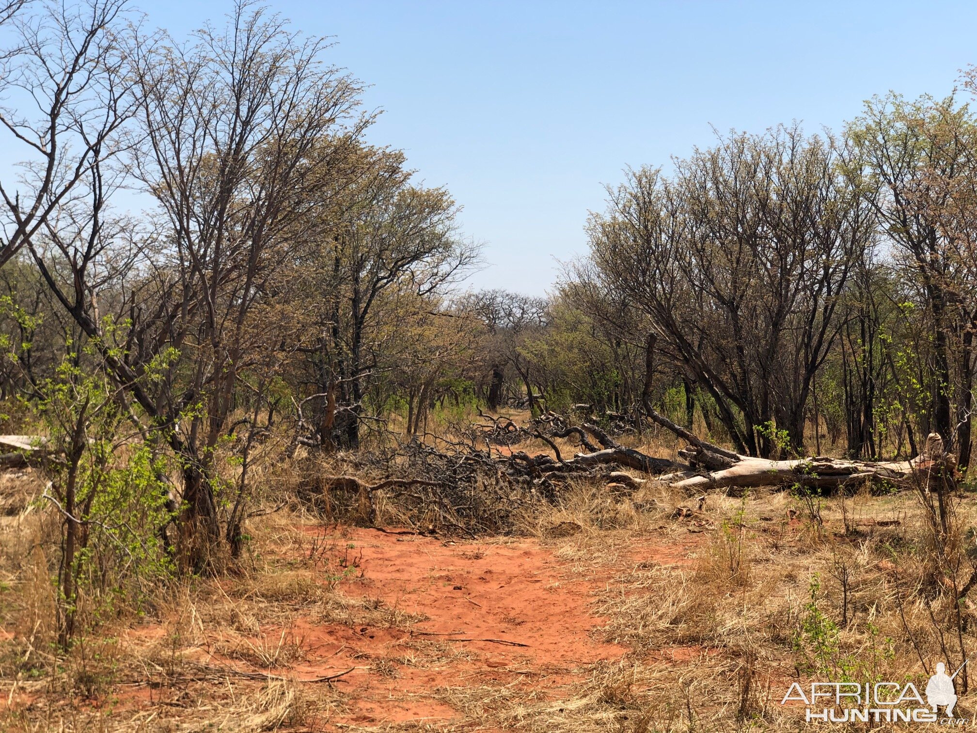 Zimbabwe Hunt Area