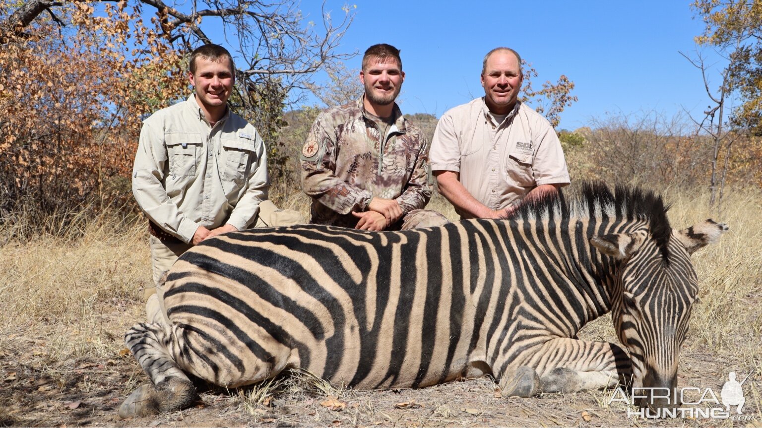 Zimbabwe Hunt Burchell's Plain Zebra