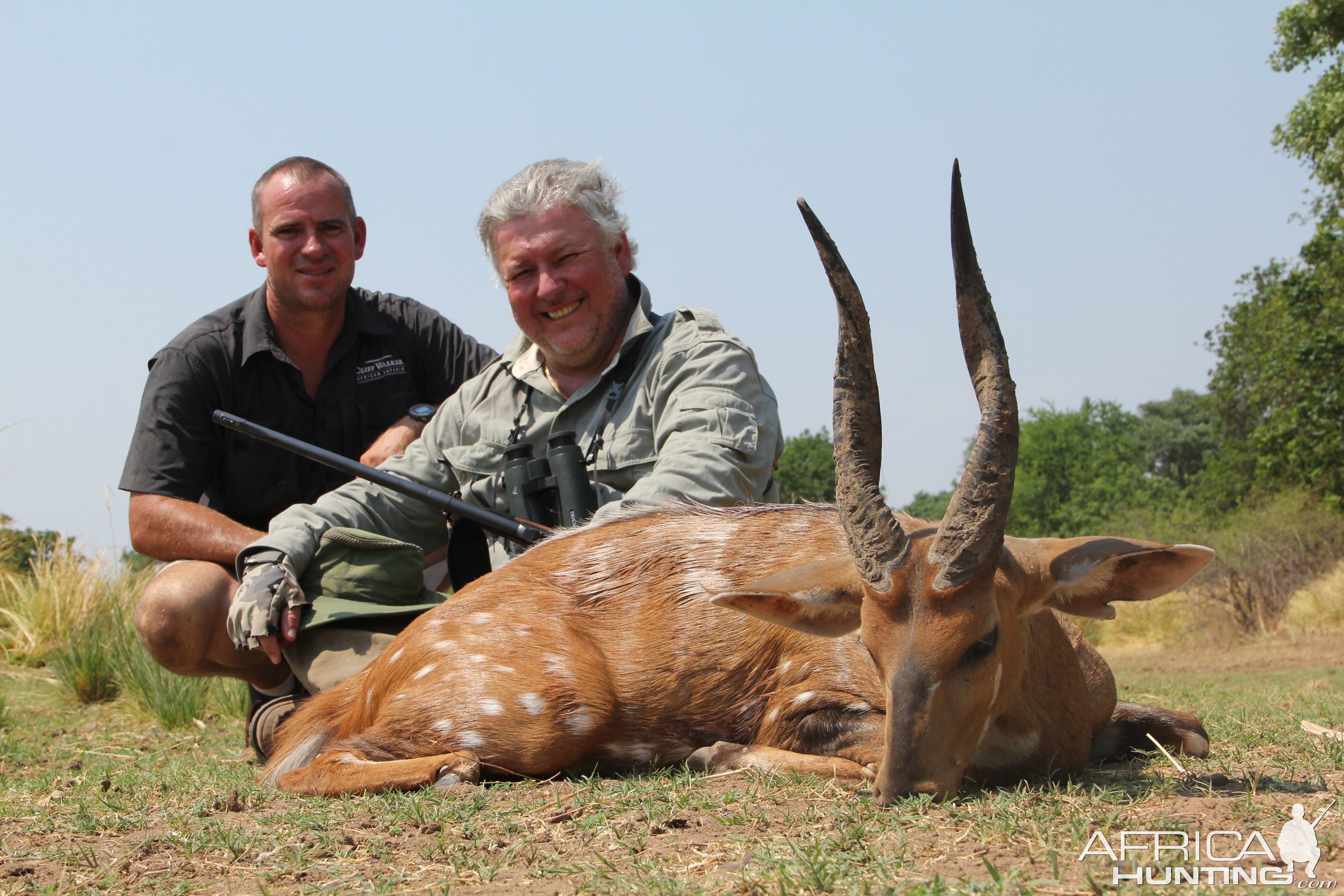 Zimbabwe Hunt Bushbuck