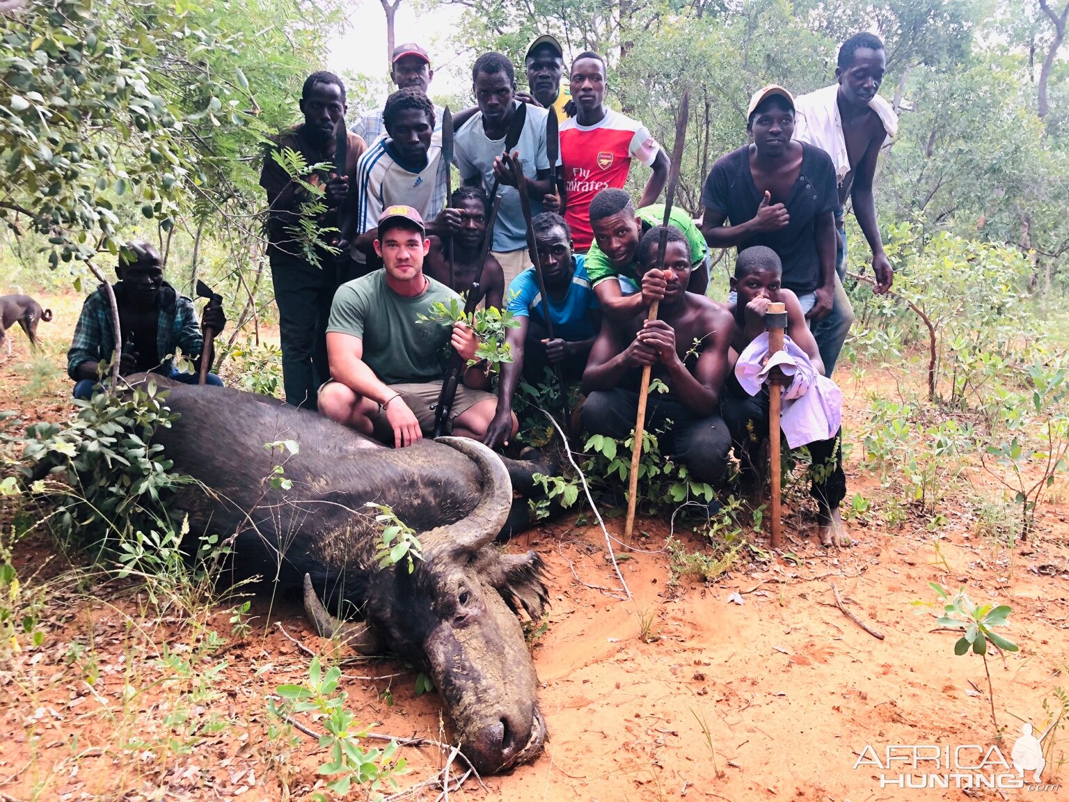 Zimbabwe Hunt Cape Buffalo Cow