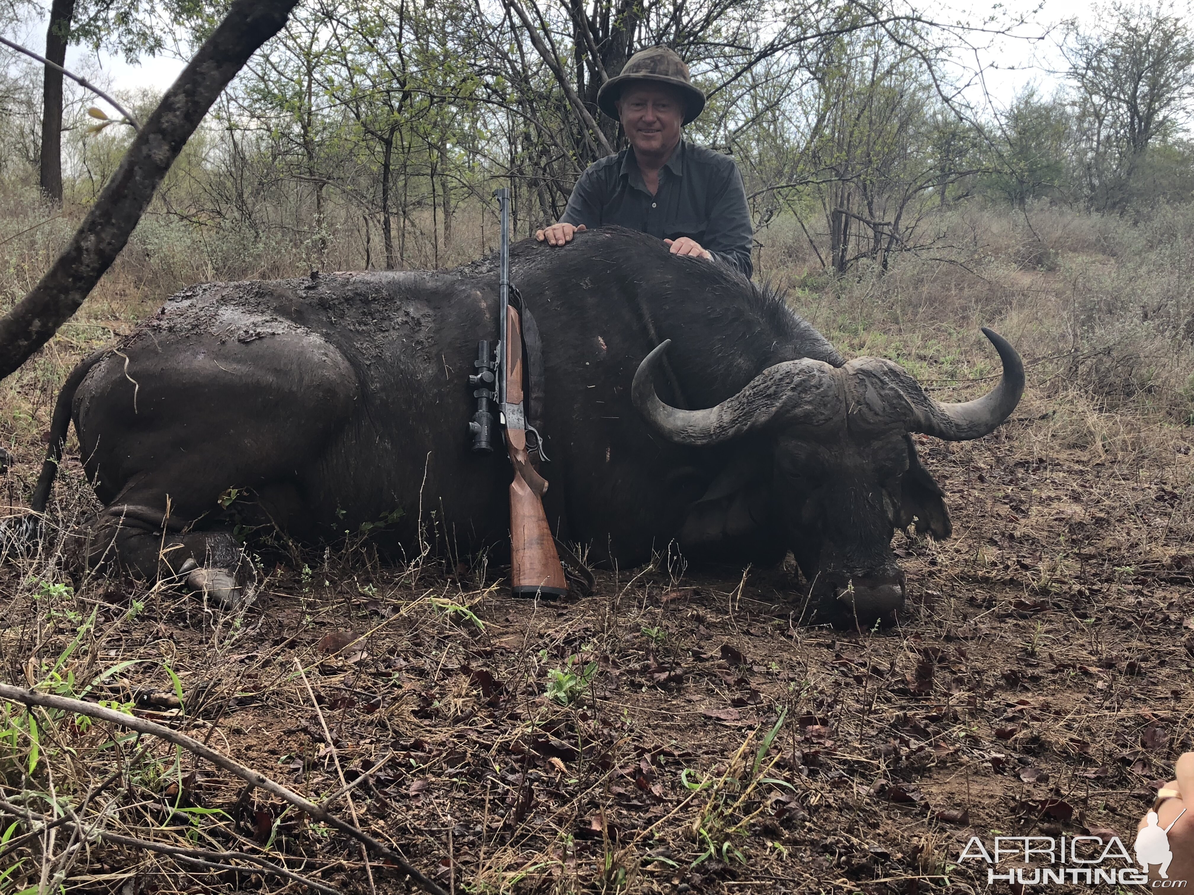 Zimbabwe Hunt Cape Buffalo