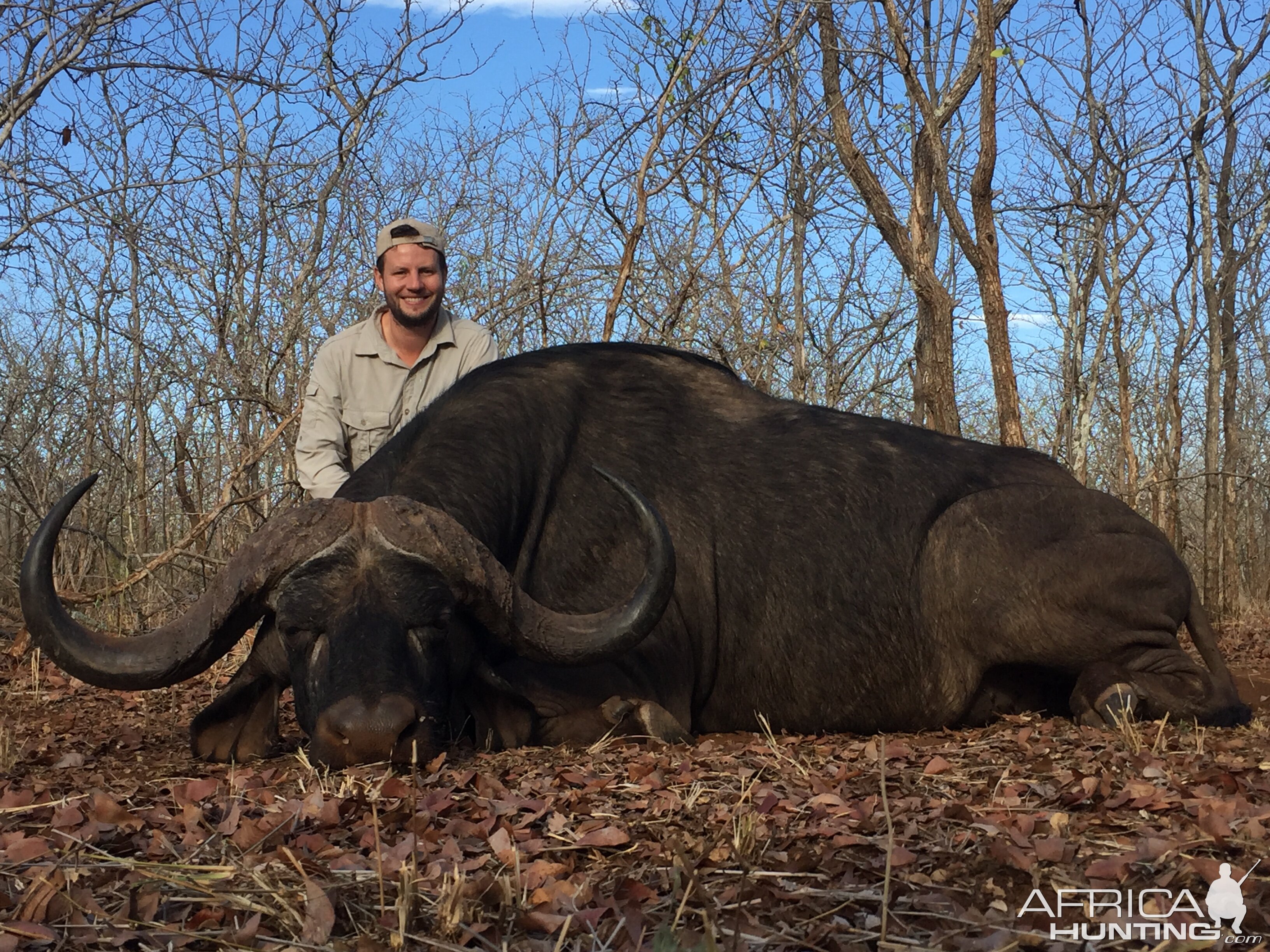 Zimbabwe Hunt Cape Buffalo