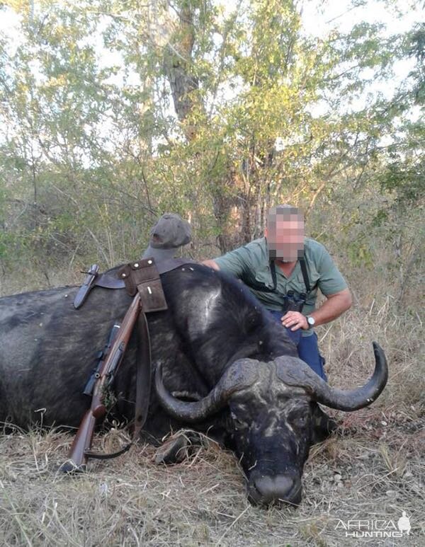 Zimbabwe Hunt Cape Buffalo