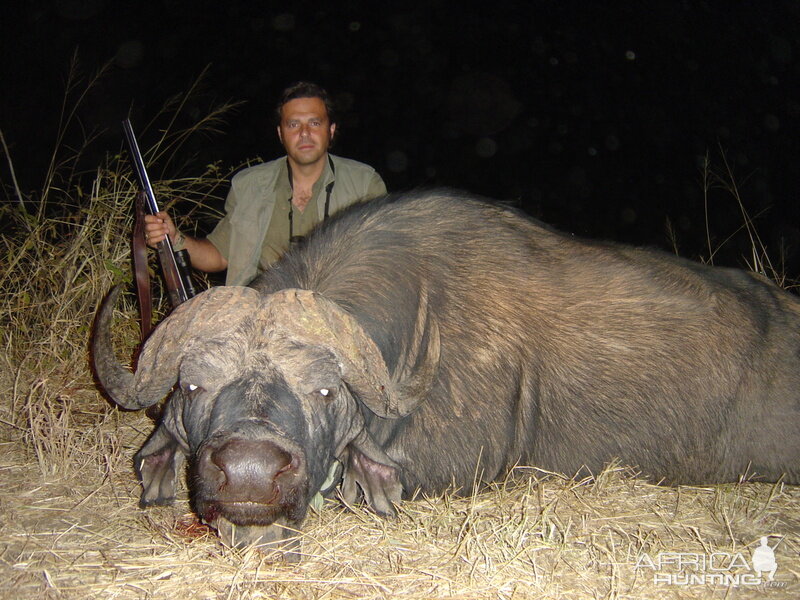 Zimbabwe Hunt Cape Buffalo