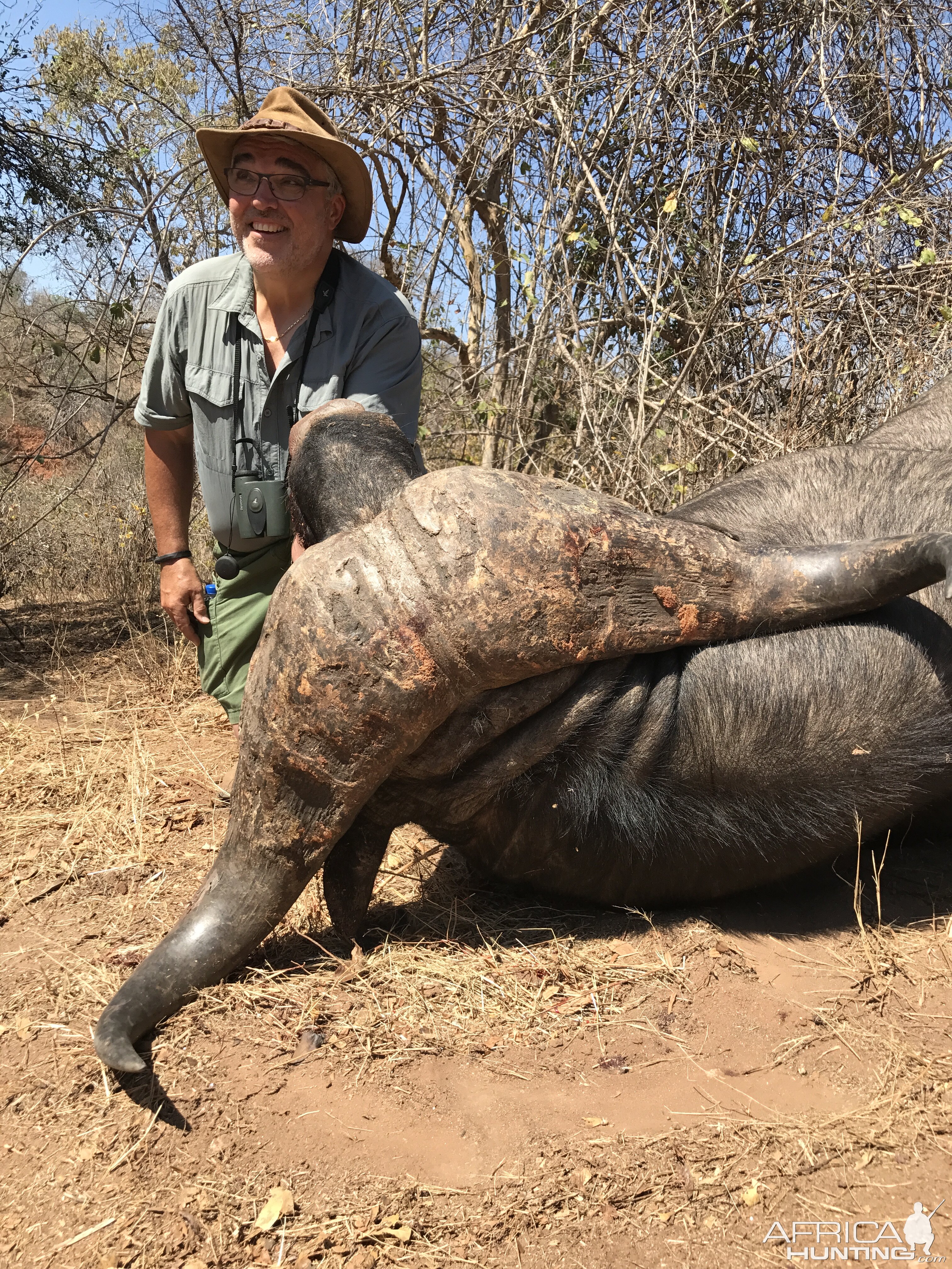 Zimbabwe Hunt Cape Buffalo