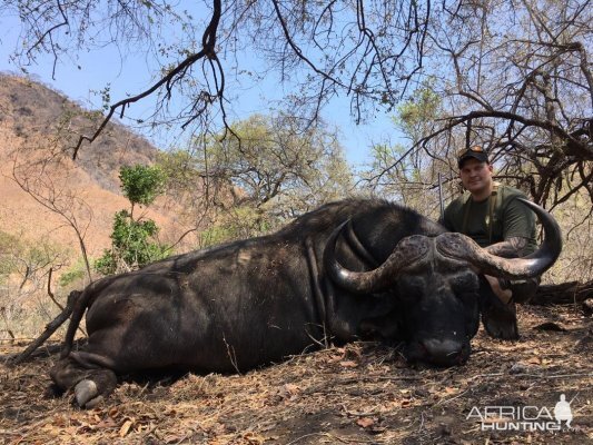 Zimbabwe Hunt Cape Buffalo