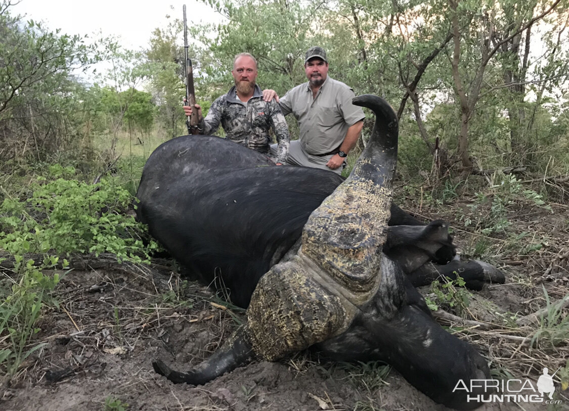 Zimbabwe Hunt Cape Buffalo