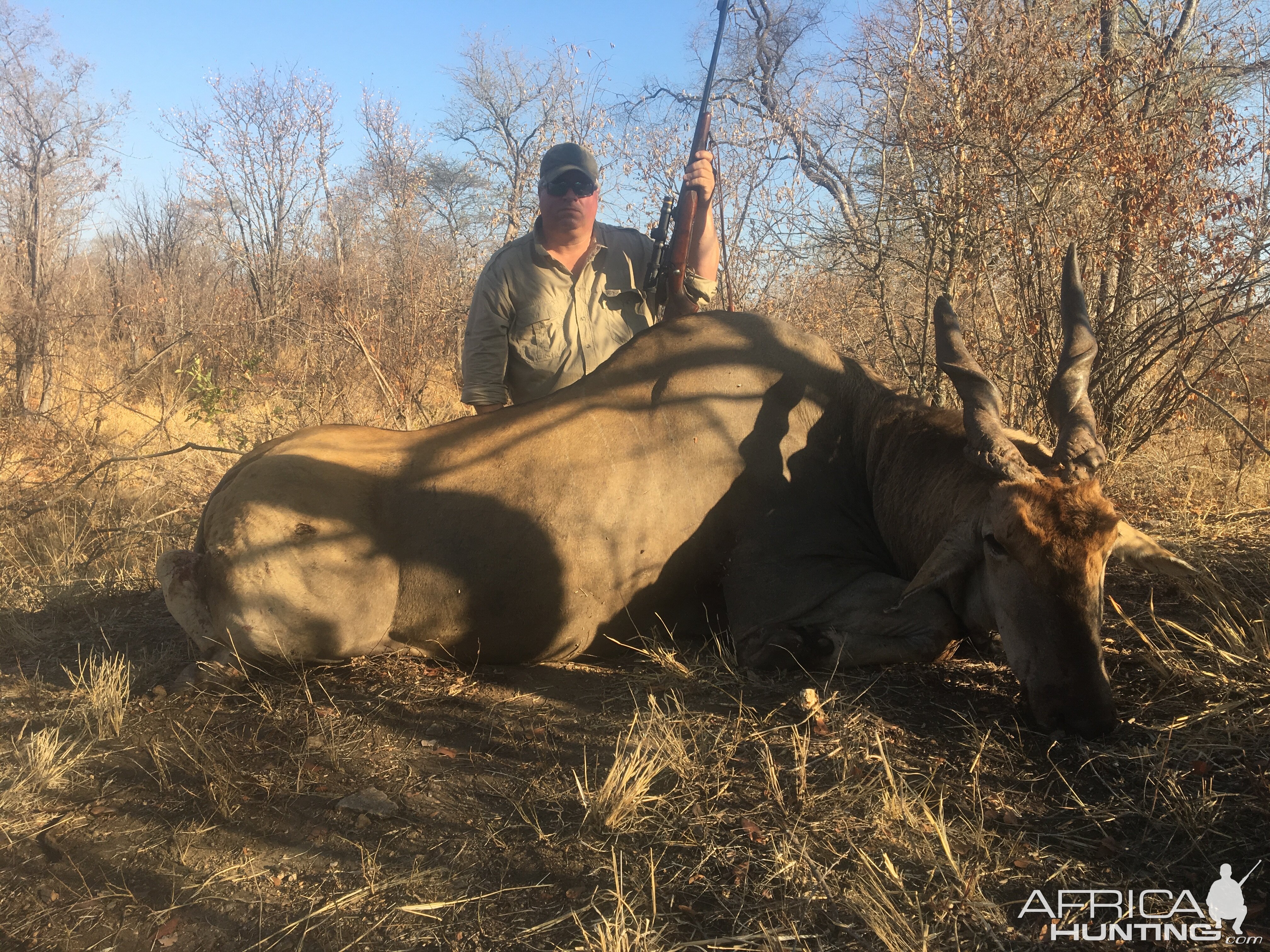 Zimbabwe Hunt Eland