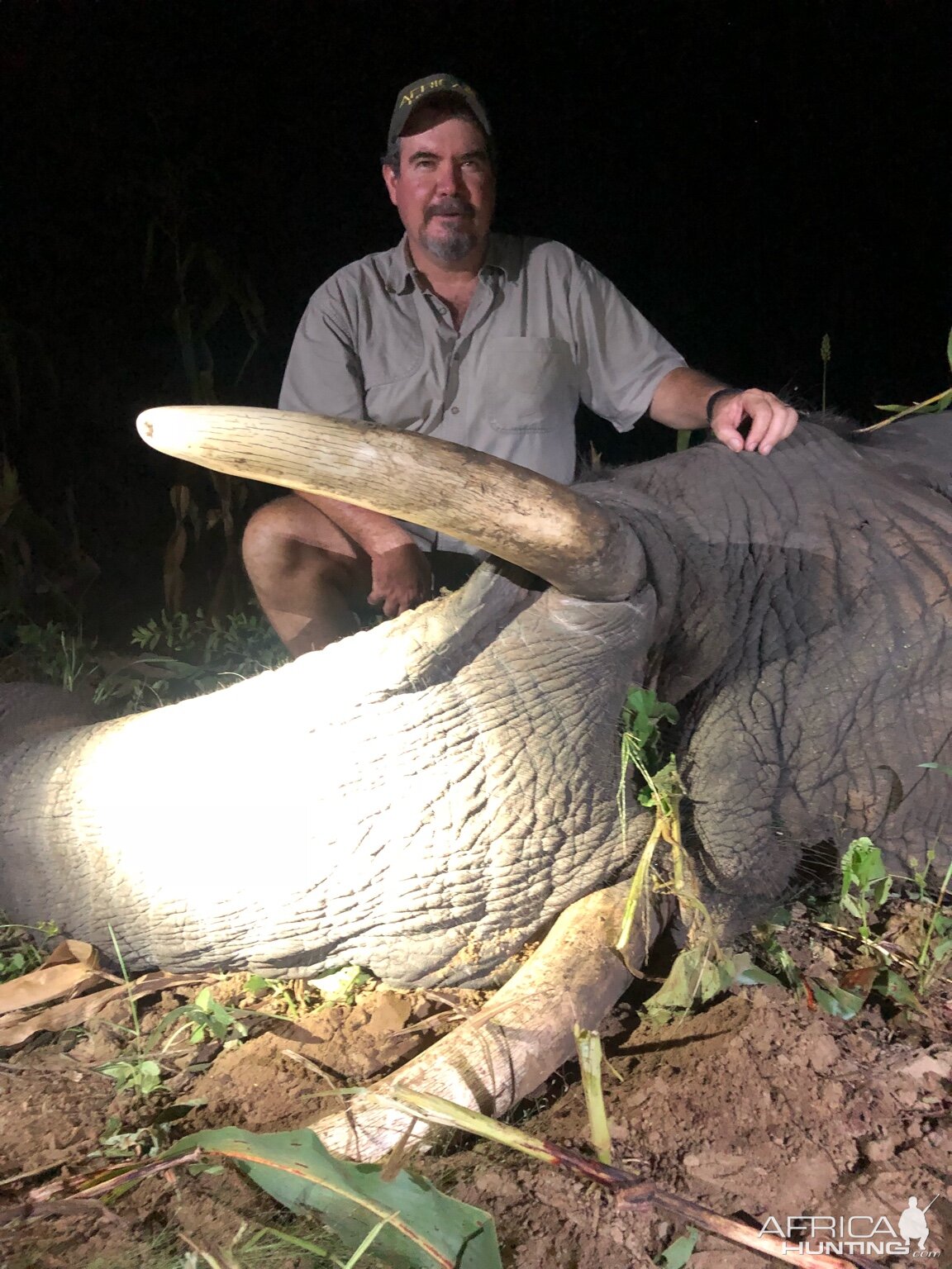 Zimbabwe Hunt Elephant