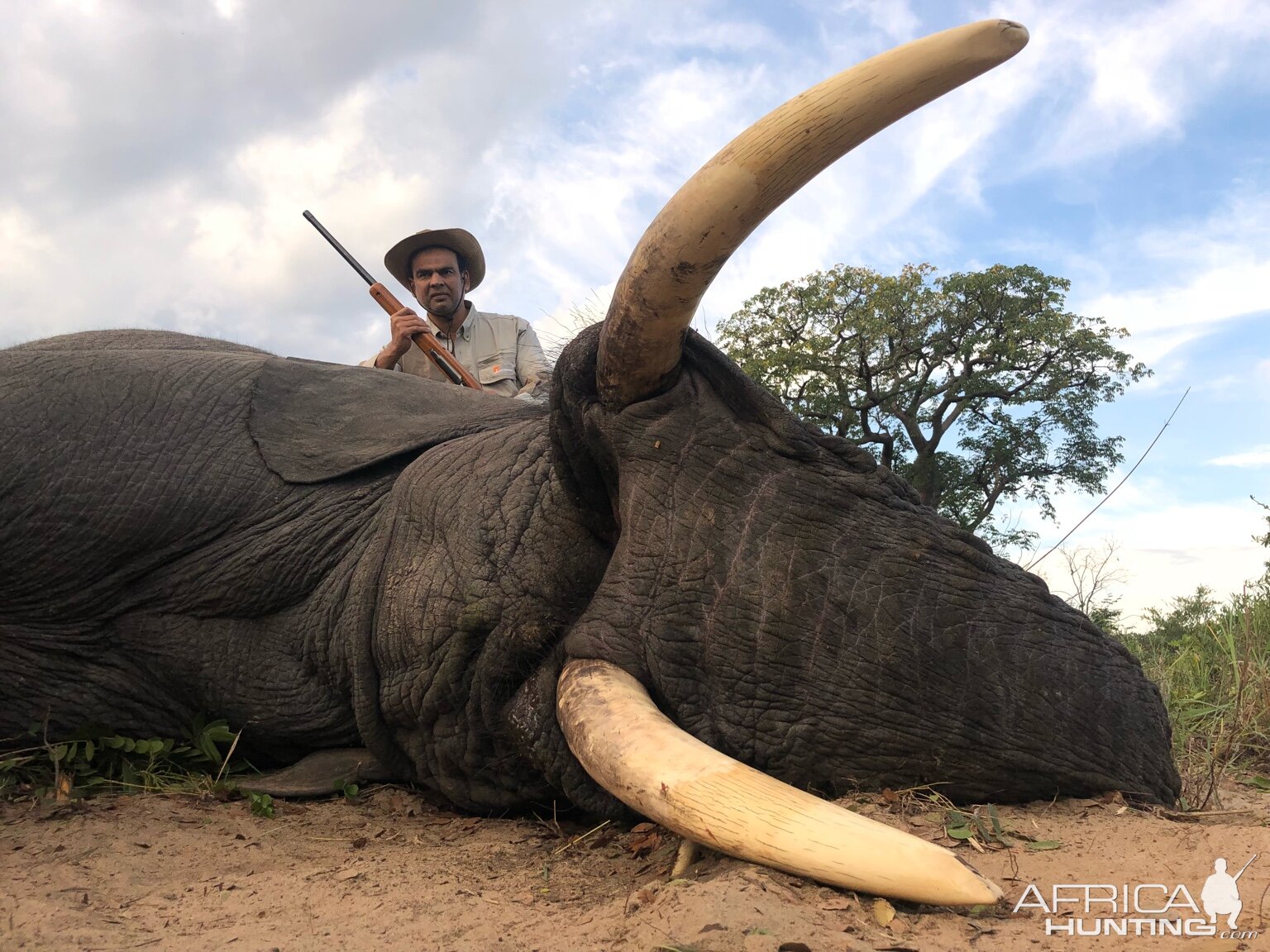 Zimbabwe Hunt Elephant