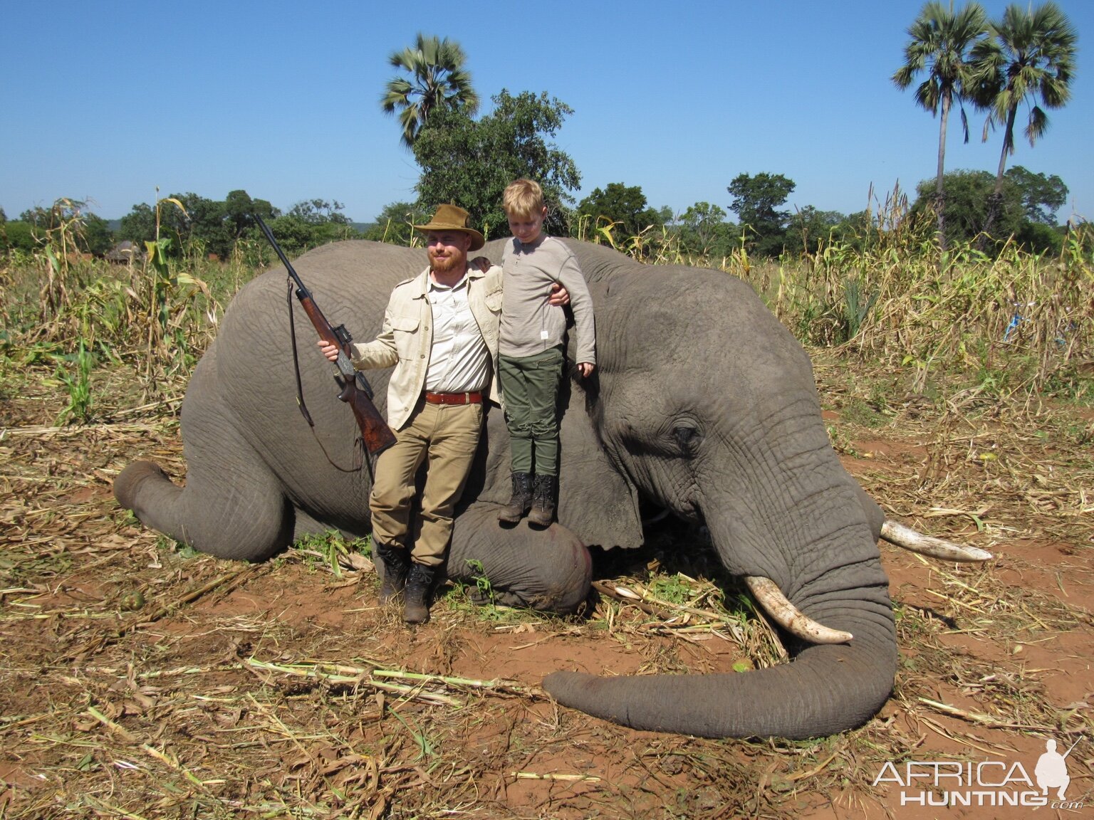 Zimbabwe Hunt Elephant