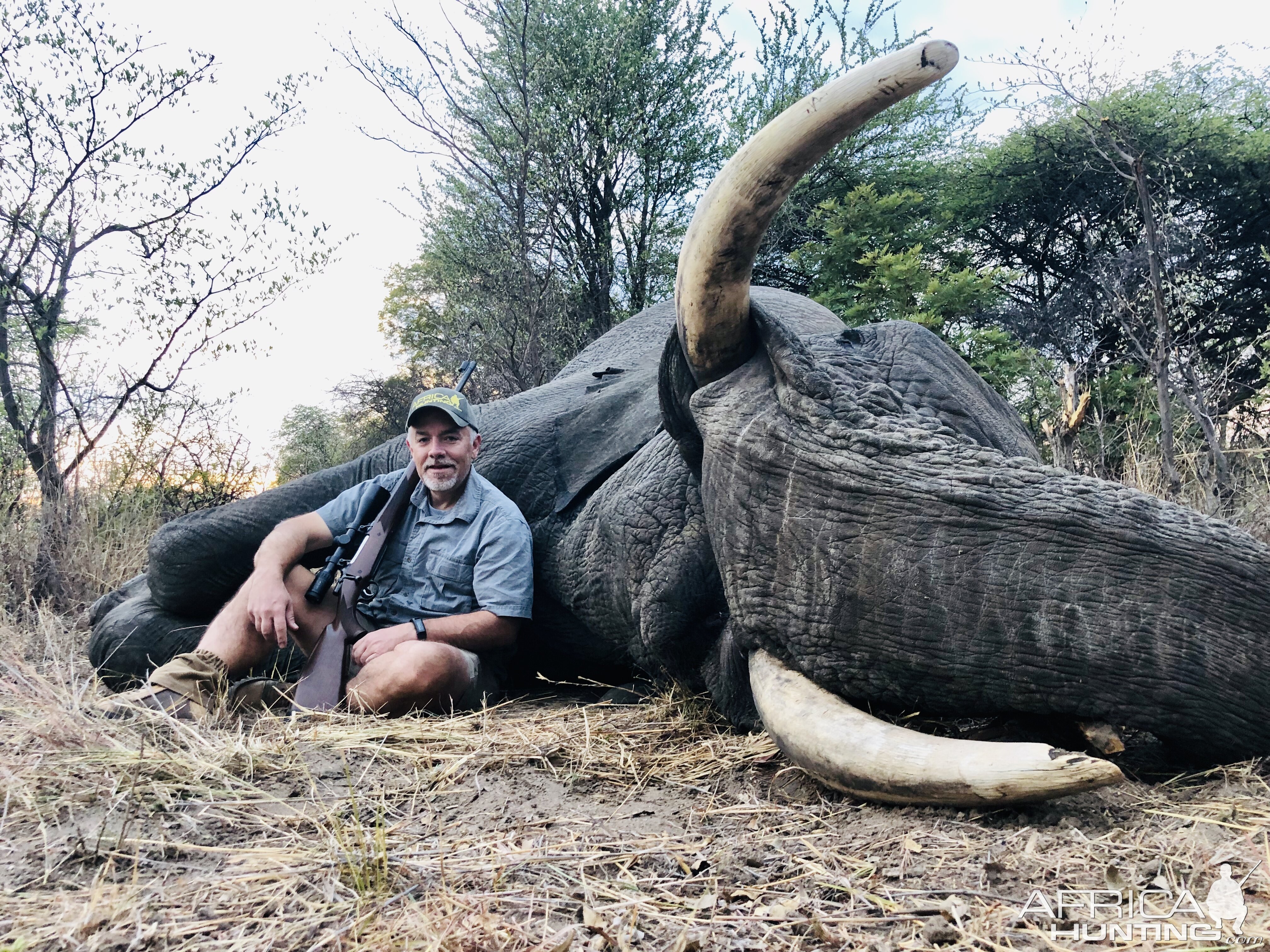 Zimbabwe Hunt Elephant