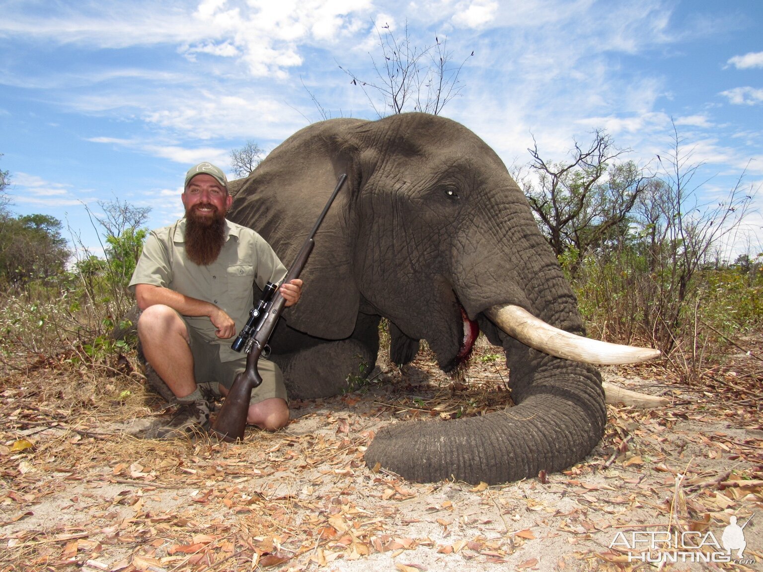 Zimbabwe Hunt Elephant