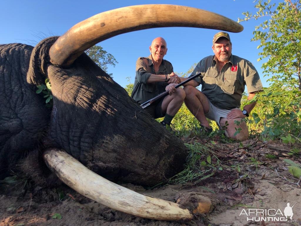 Zimbabwe Hunt Elephant