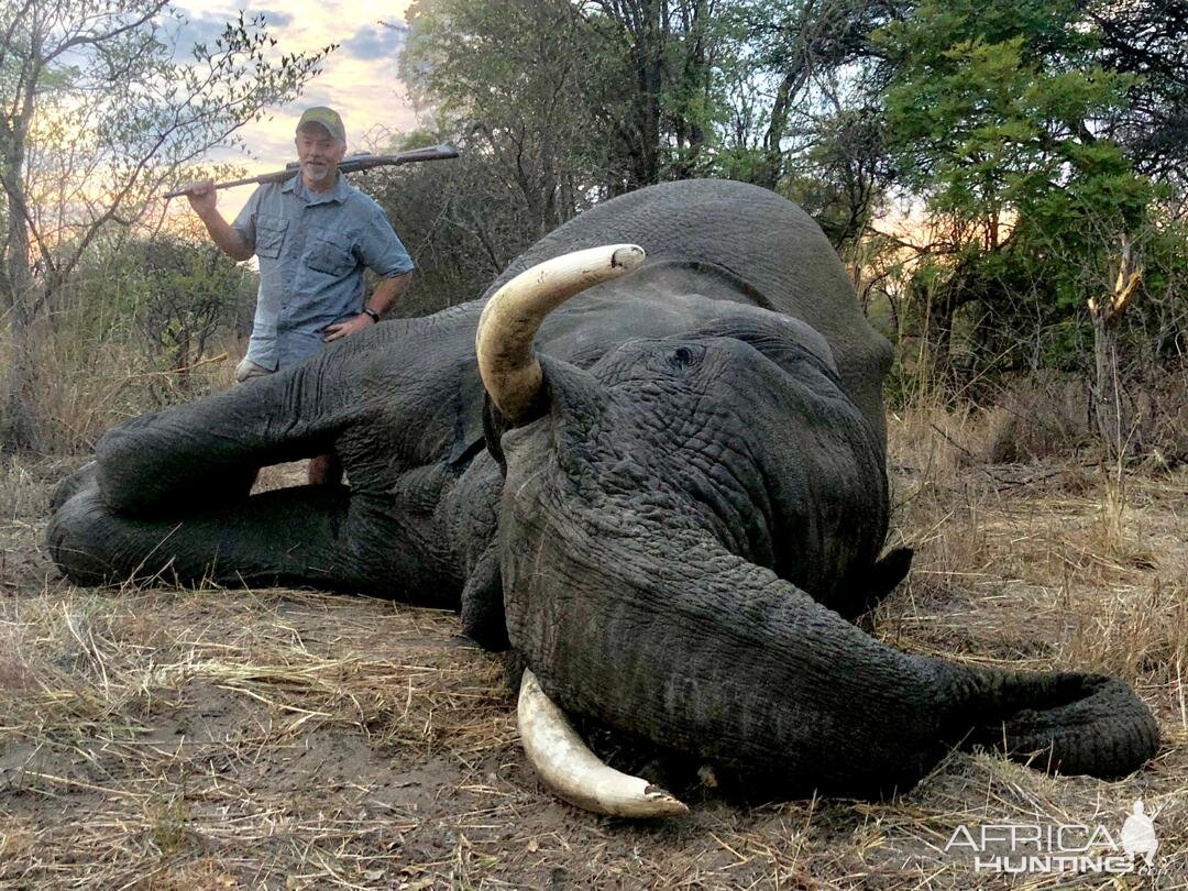 Zimbabwe Hunt Elephant