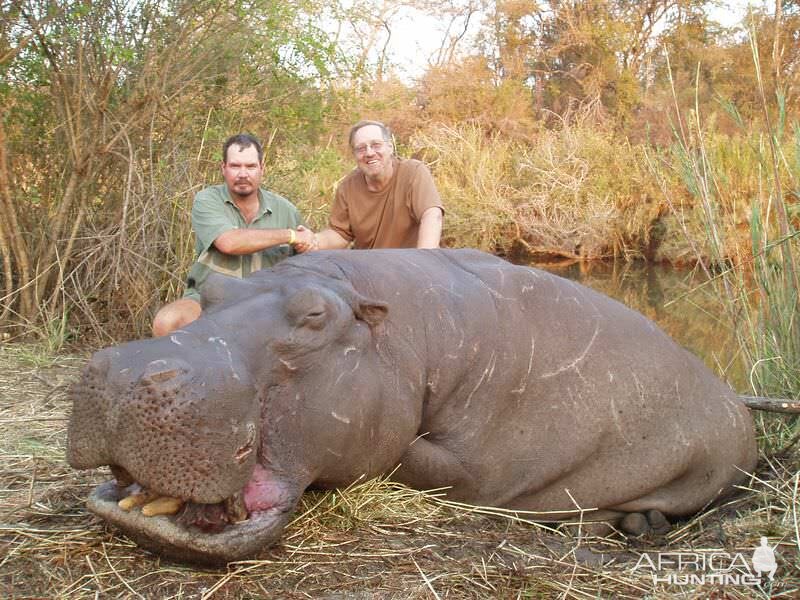 Zimbabwe Hunt Hippo