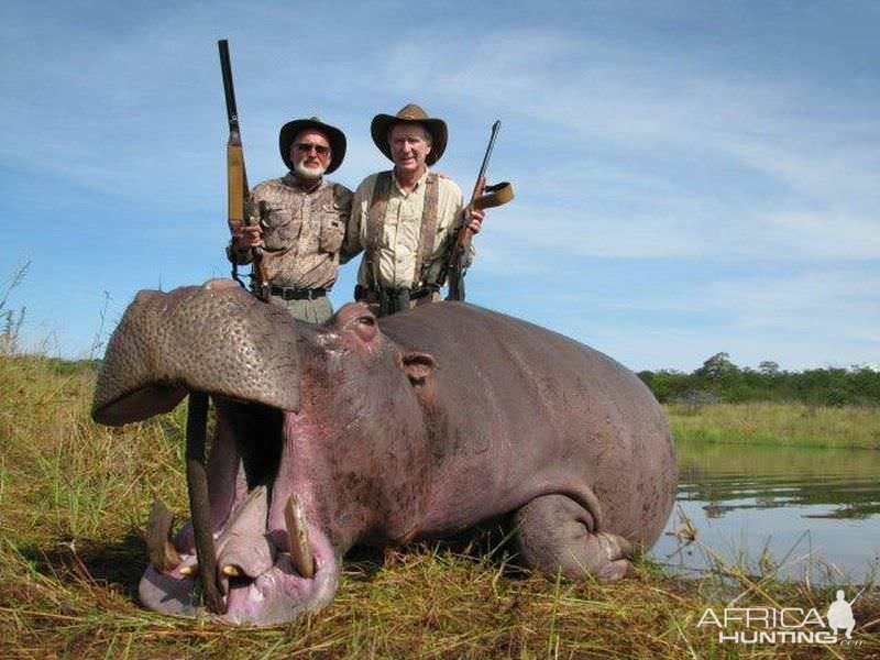 Zimbabwe Hunt Hippo