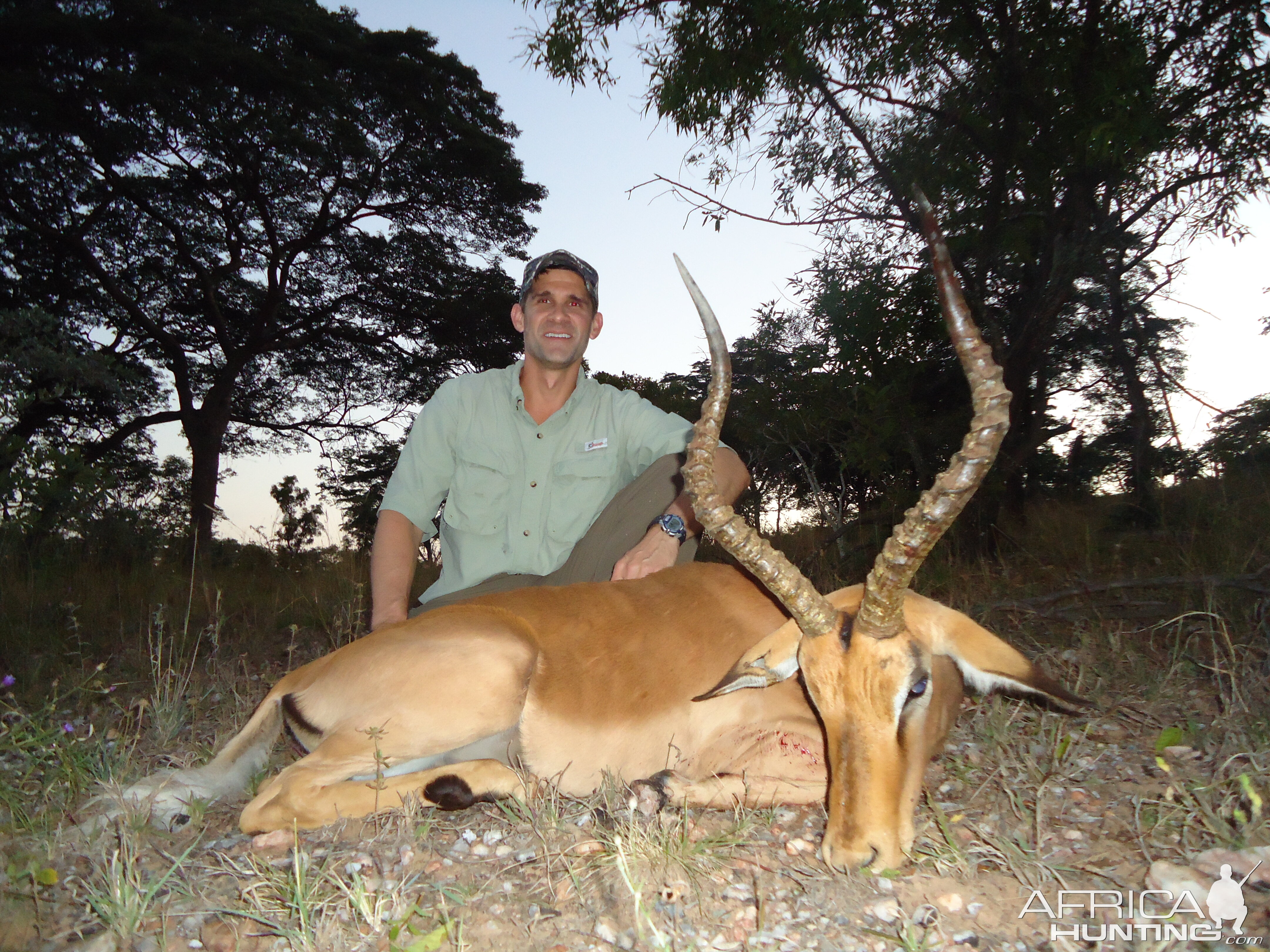 Zimbabwe Hunt Impala