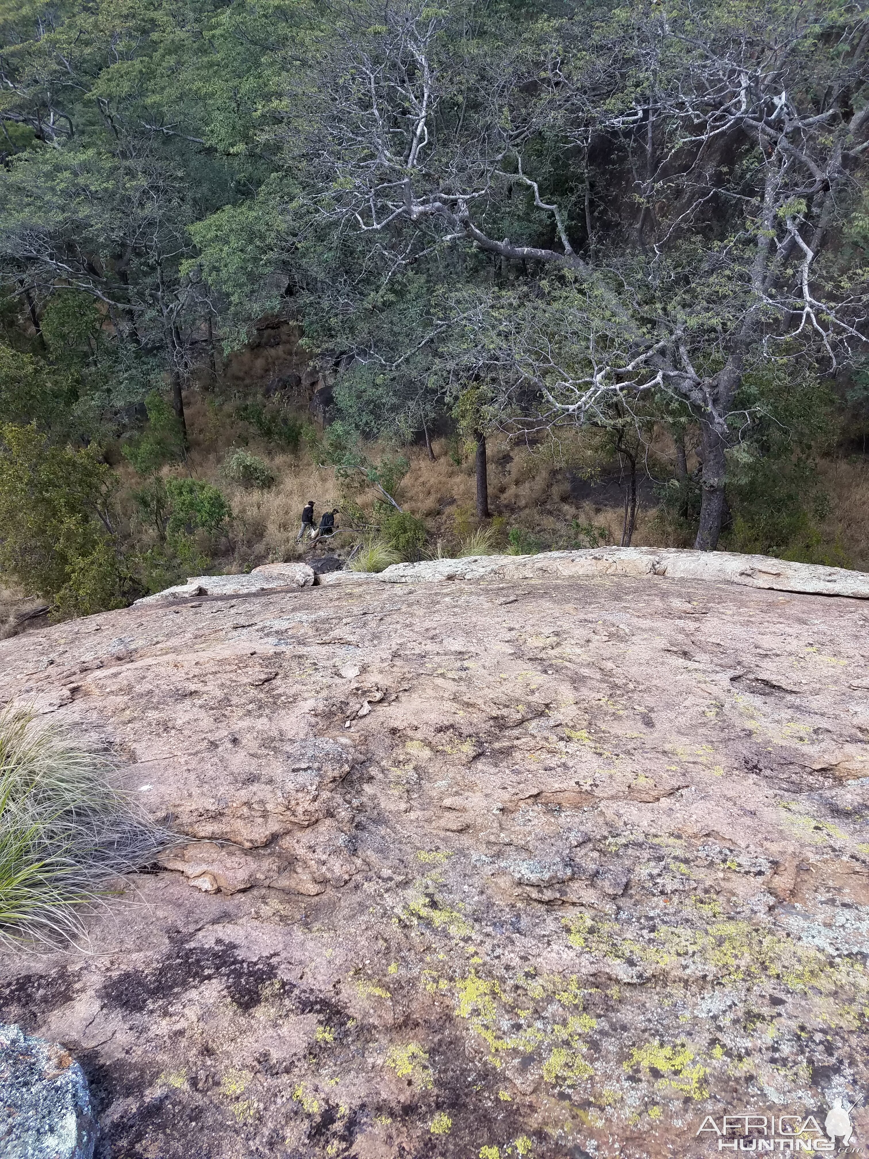 Zimbabwe Hunt Klipspringer