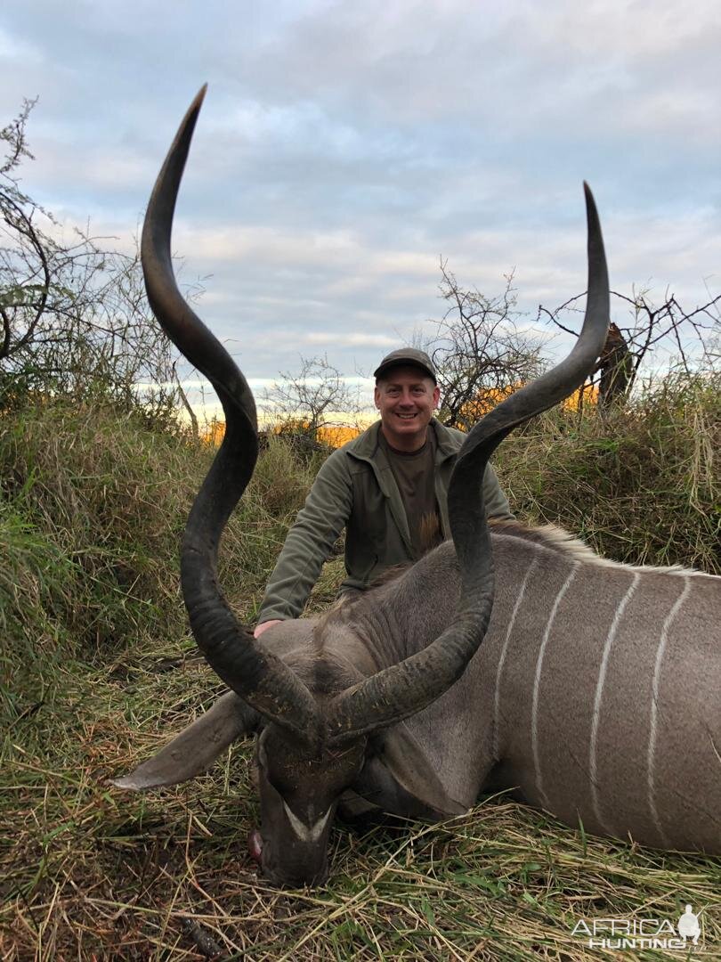 Zimbabwe Hunt Kudu