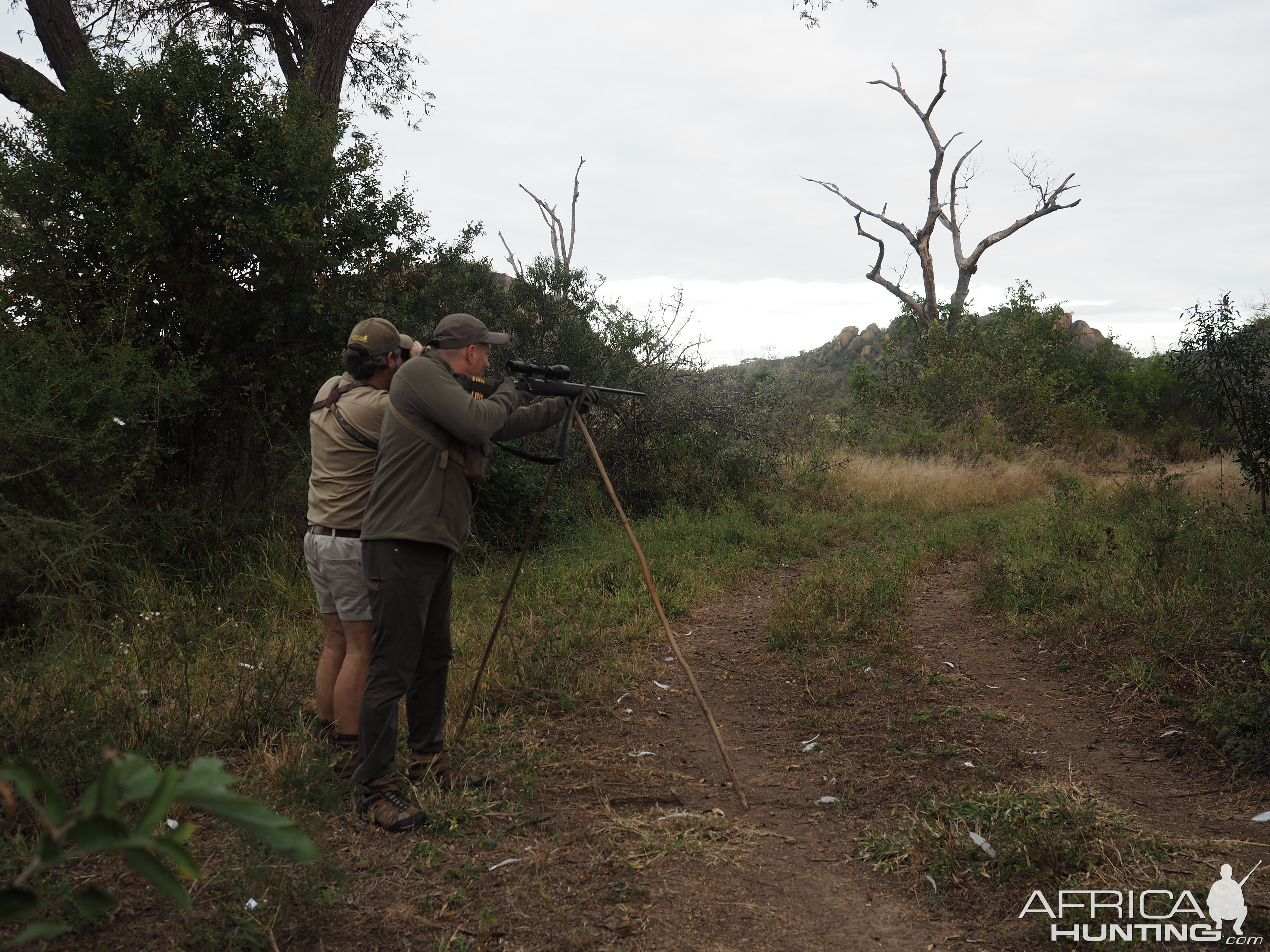 Zimbabwe Hunt Kudu