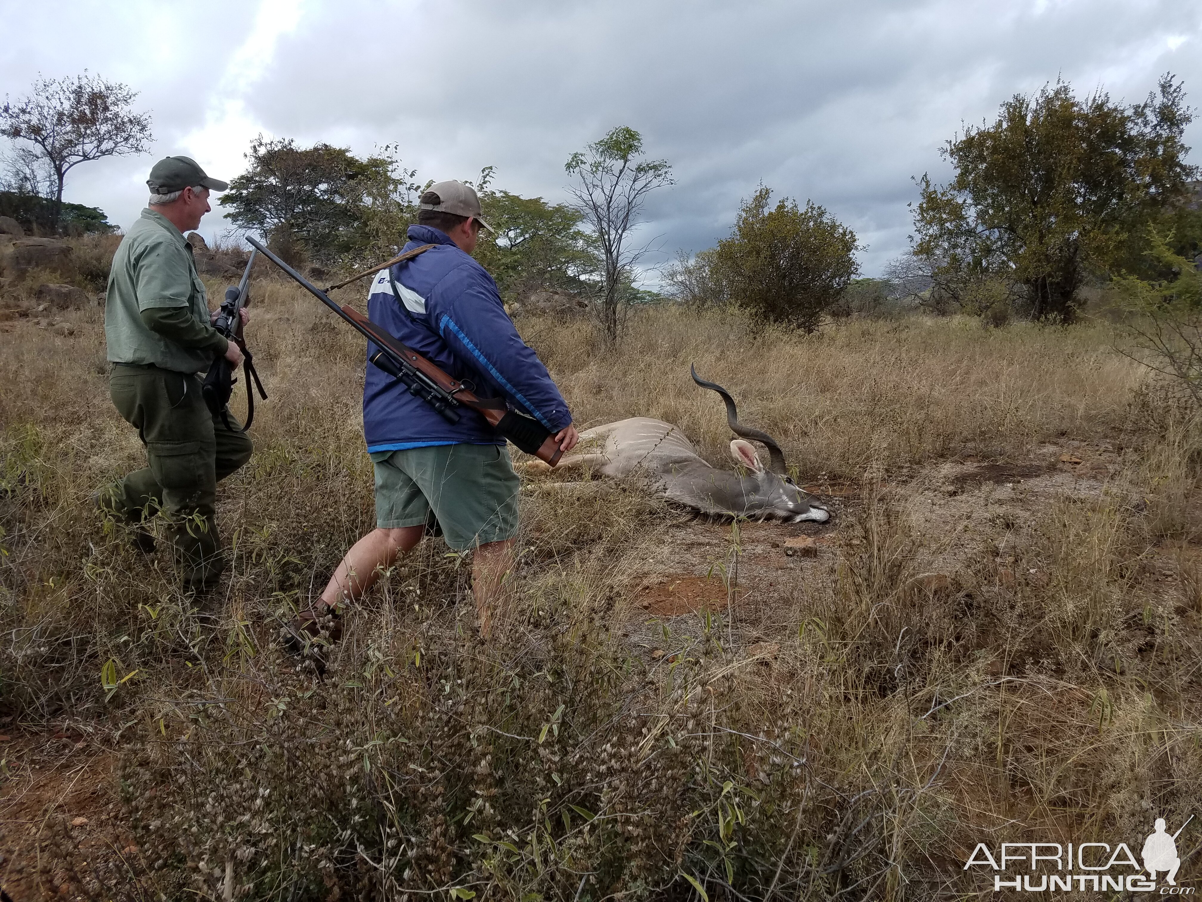 Zimbabwe Hunt Kudu