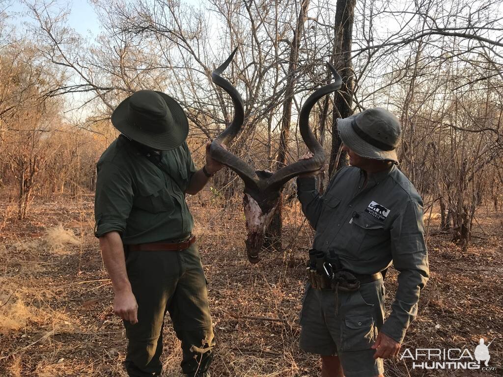 ZImbabwe Hunt Kudu