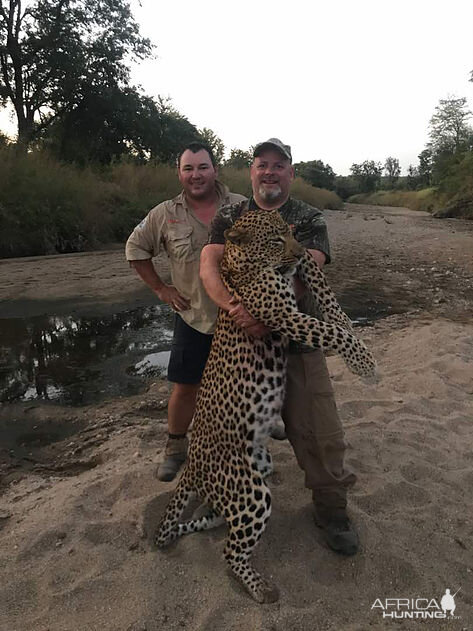 Zimbabwe Hunt Leopard