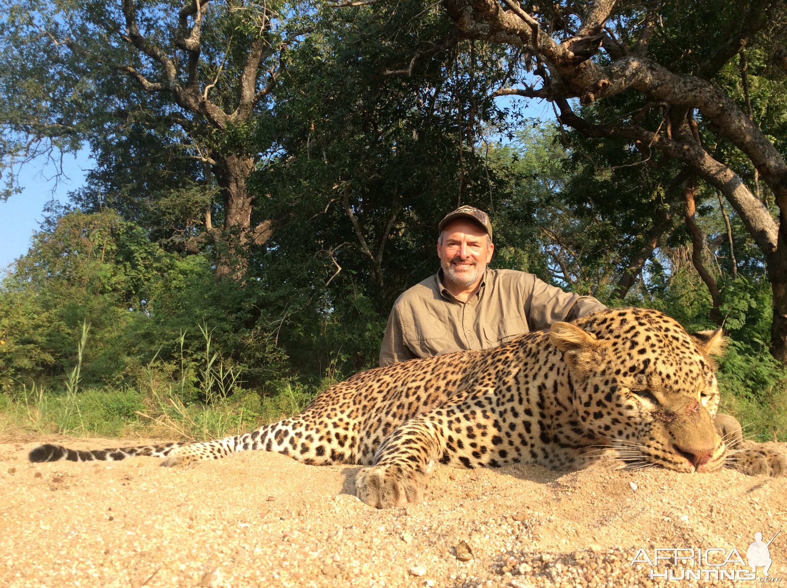 Zimbabwe Hunt Leopard