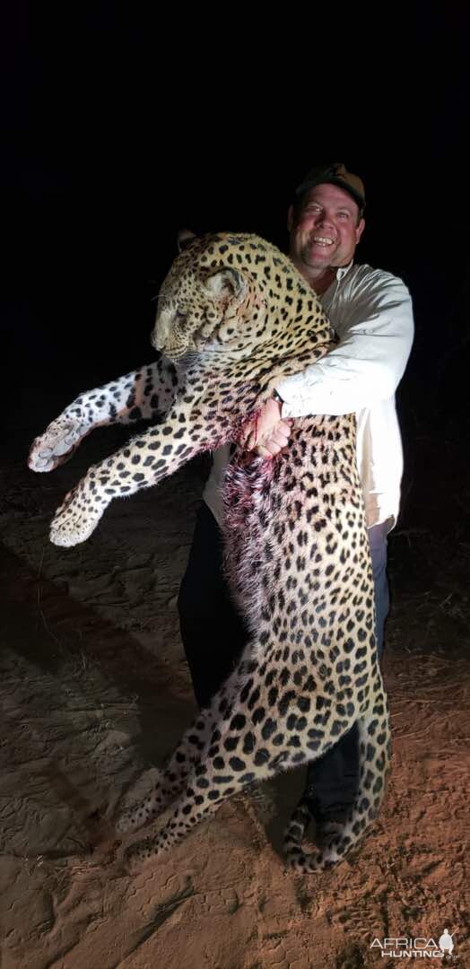 Zimbabwe Hunt Leopard