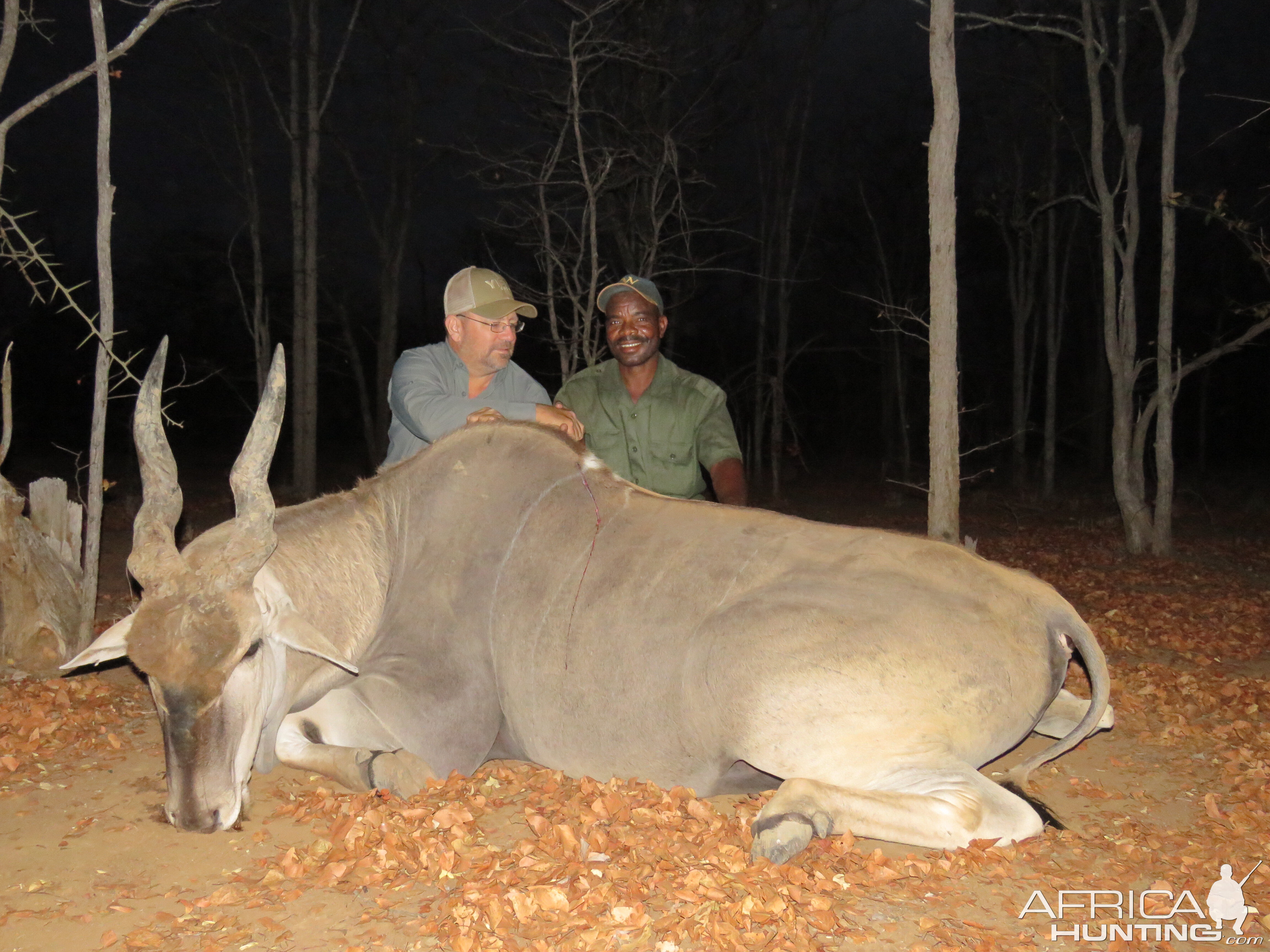 Zimbabwe Hunt Livingstone Eland