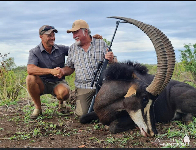 Zimbabwe Hunt Sable Antelope