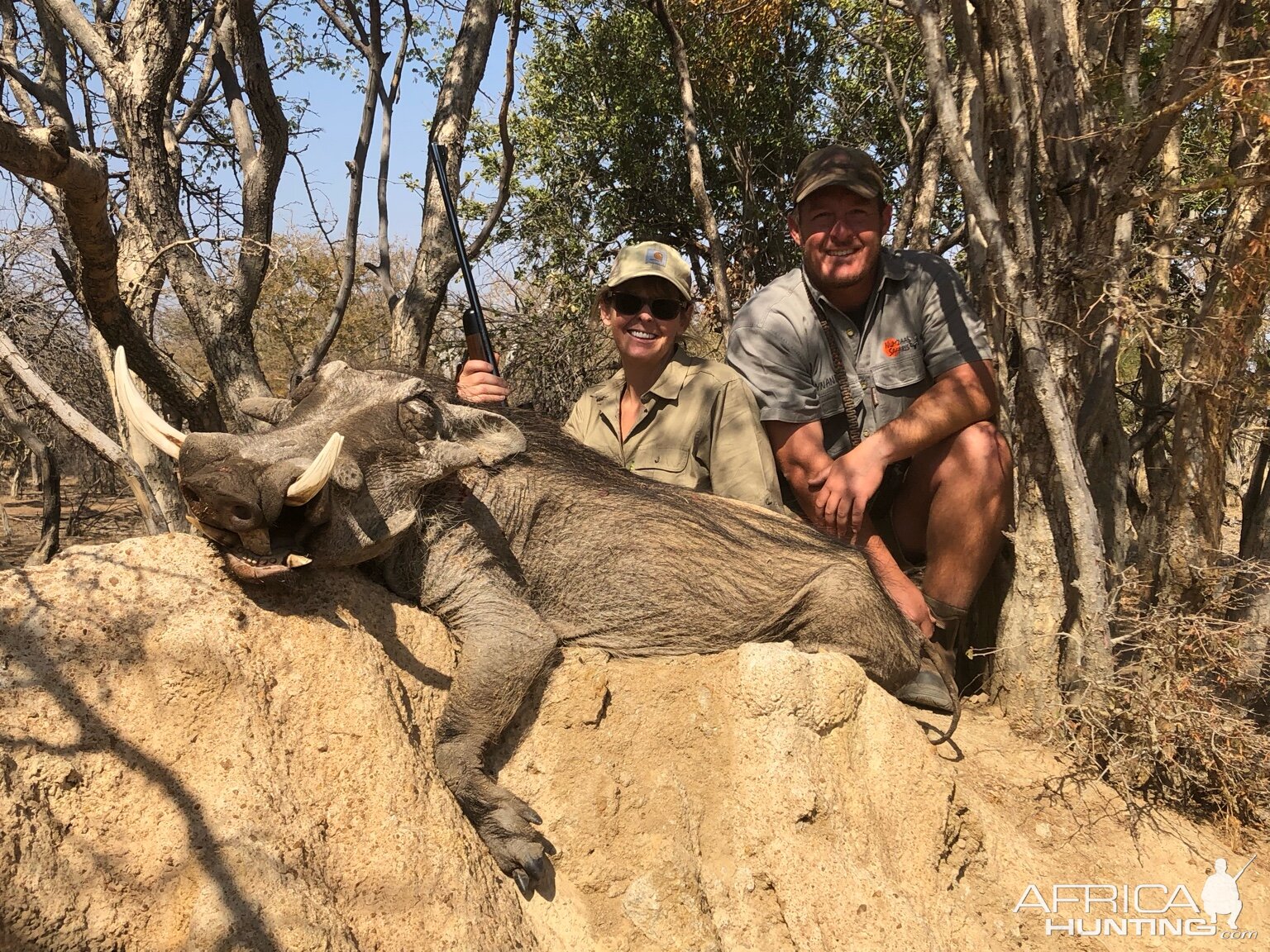 Zimbabwe Hunt Warthog