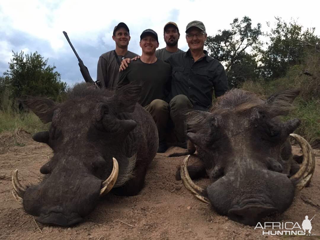 Zimbabwe Hunt Warthog