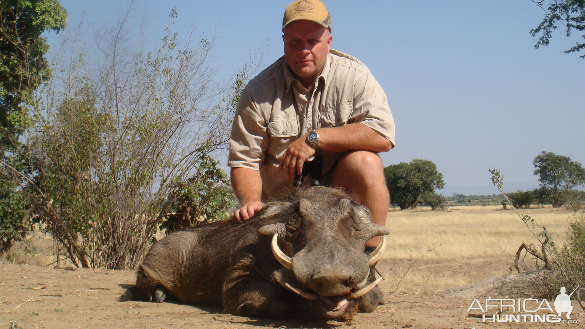 Zimbabwe Hunt Warthog