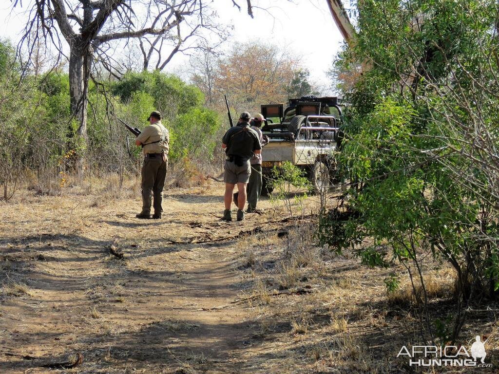 Zimbabwe Hunt