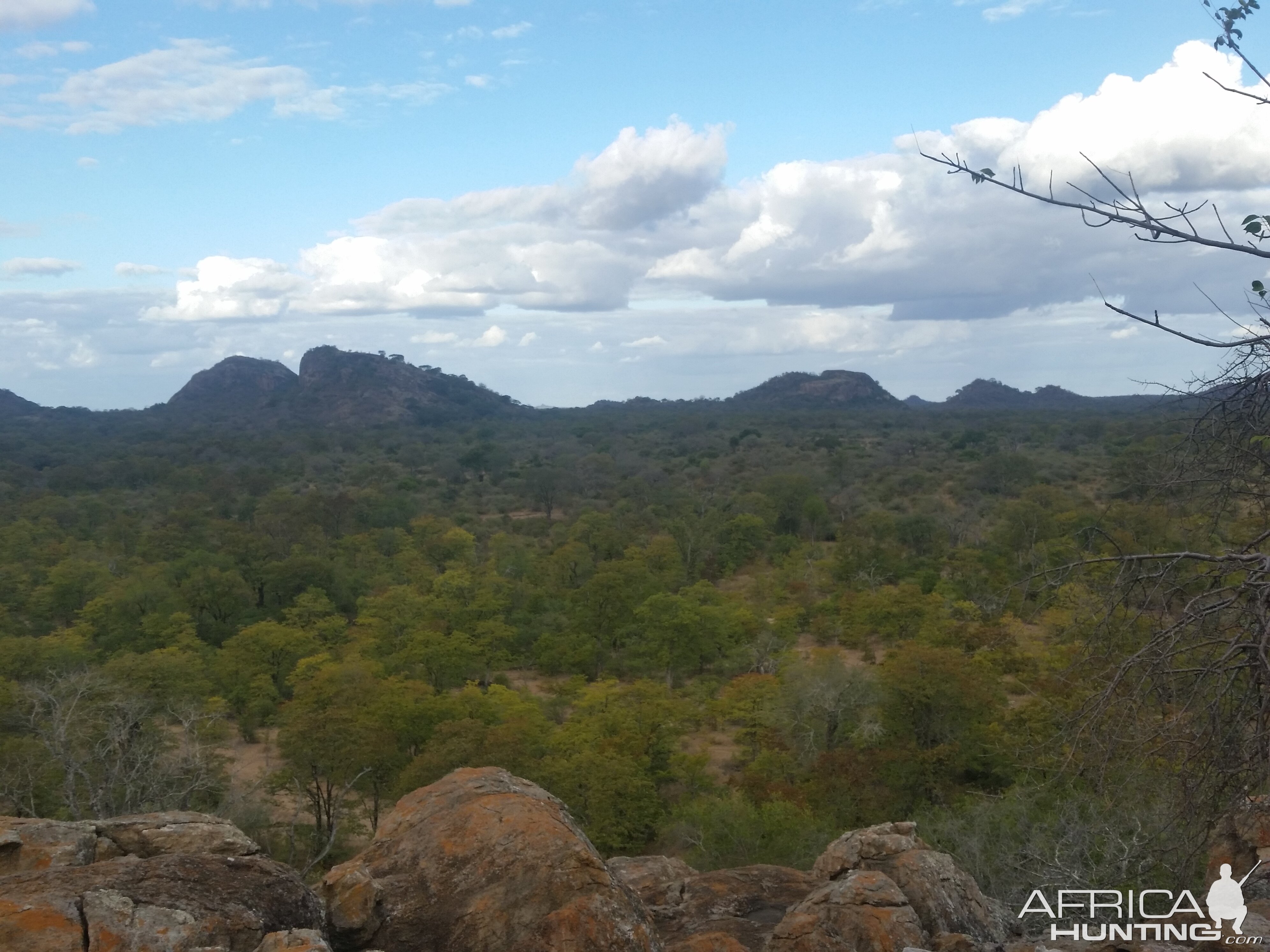 Zimbabwe Hunt