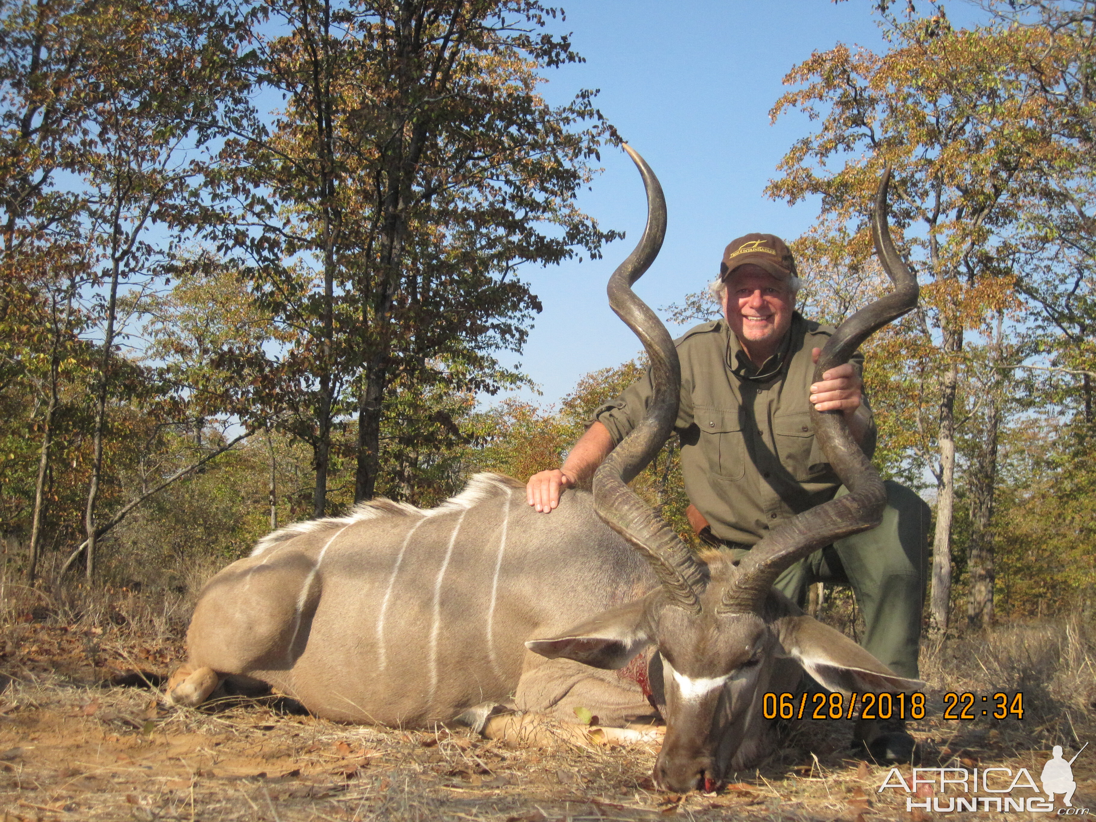 Zimbabwe Hunting 62" Inch Kudu