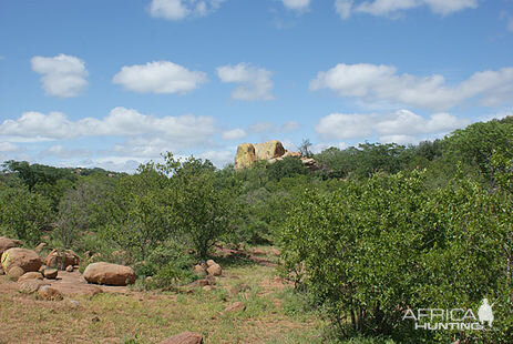 Zimbabwe Hunting Area