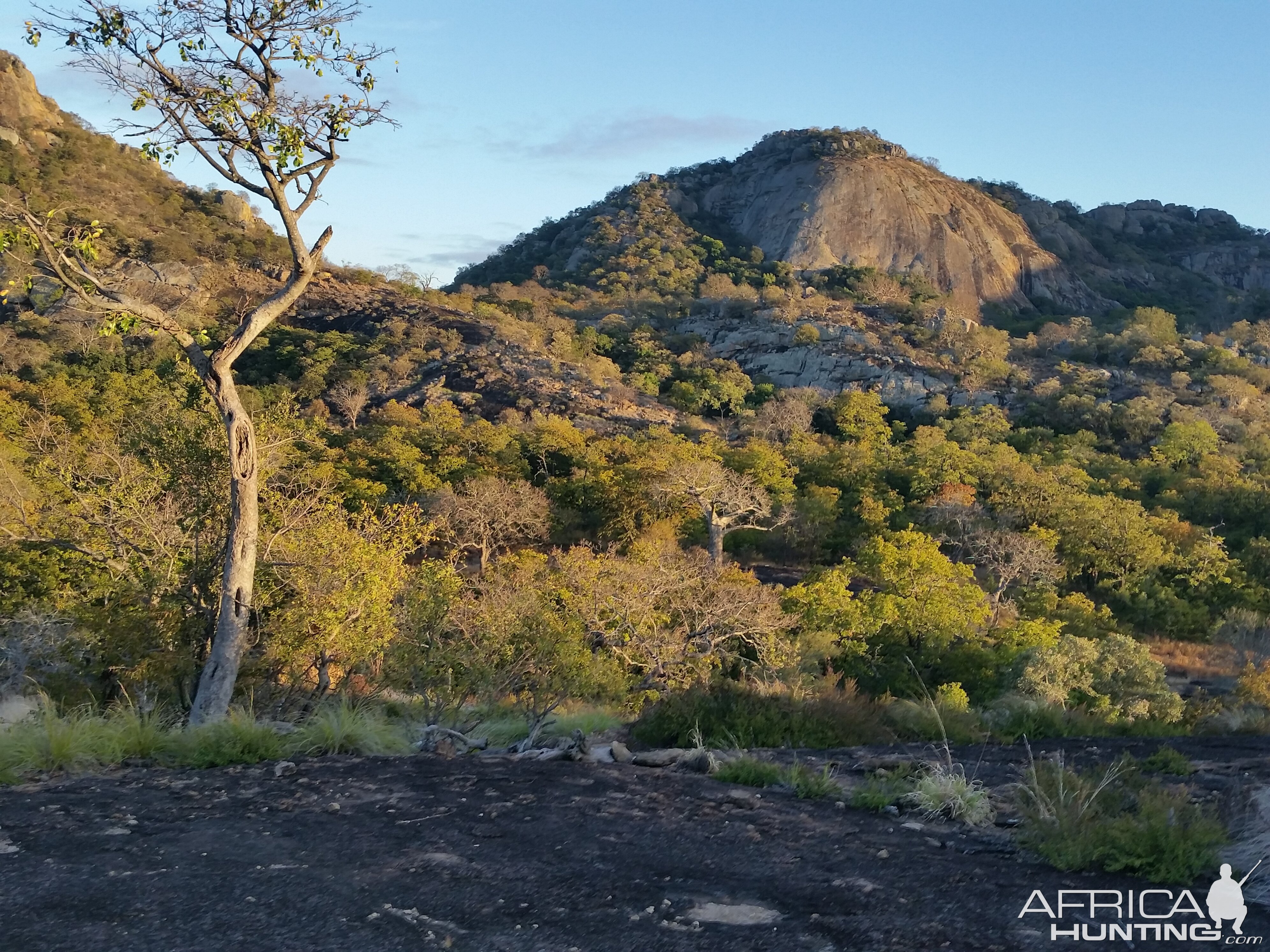 Zimbabwe Hunting Area